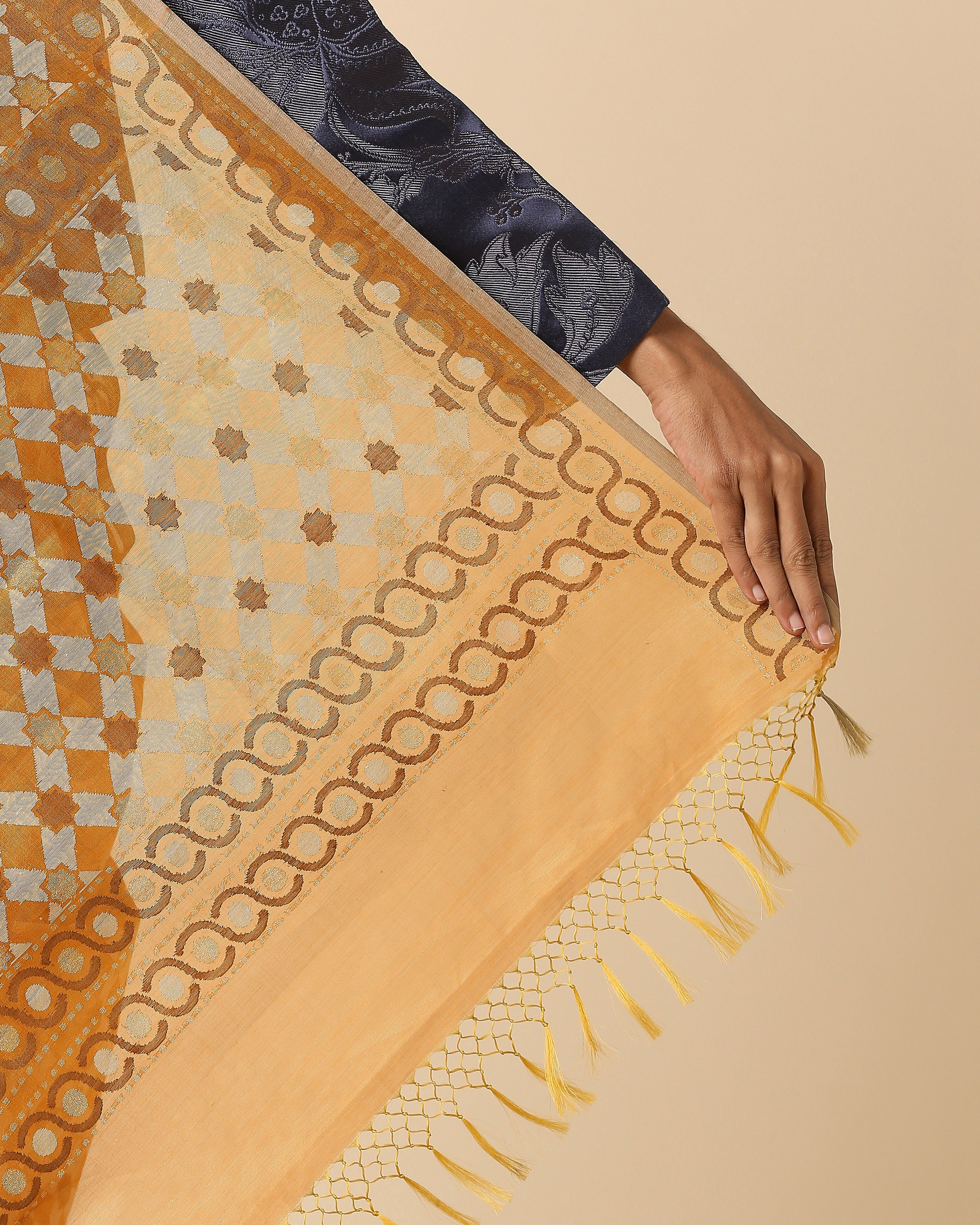 Kaliyah Banarasi Jamdani Silk Cotton Saree