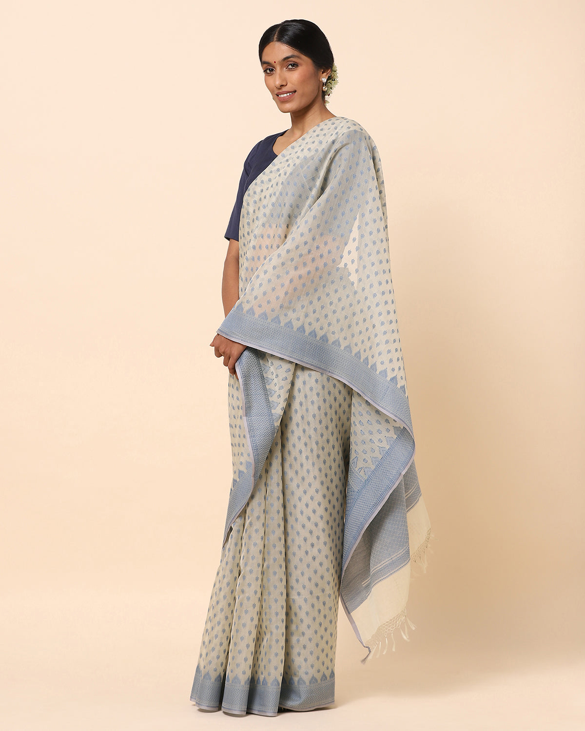 Tara Banarasi Cutwork Silk Cotton Saree