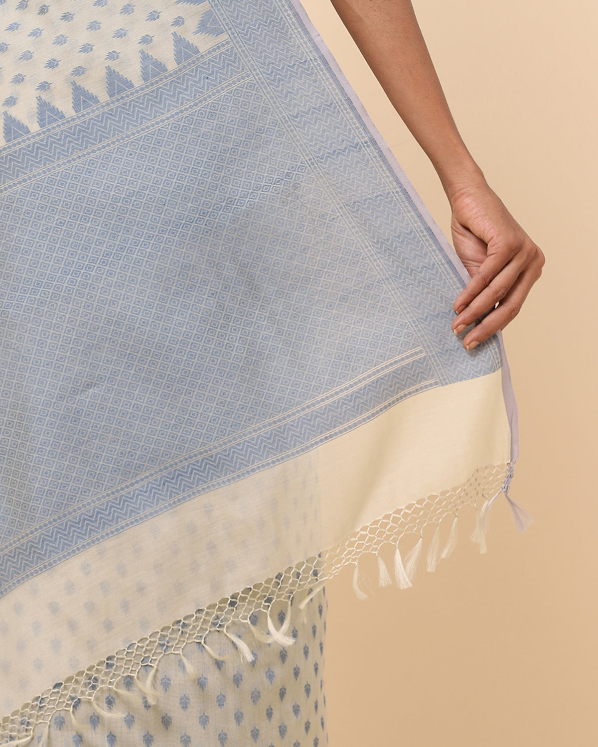 Tara Banarasi Cutwork Silk Cotton Saree