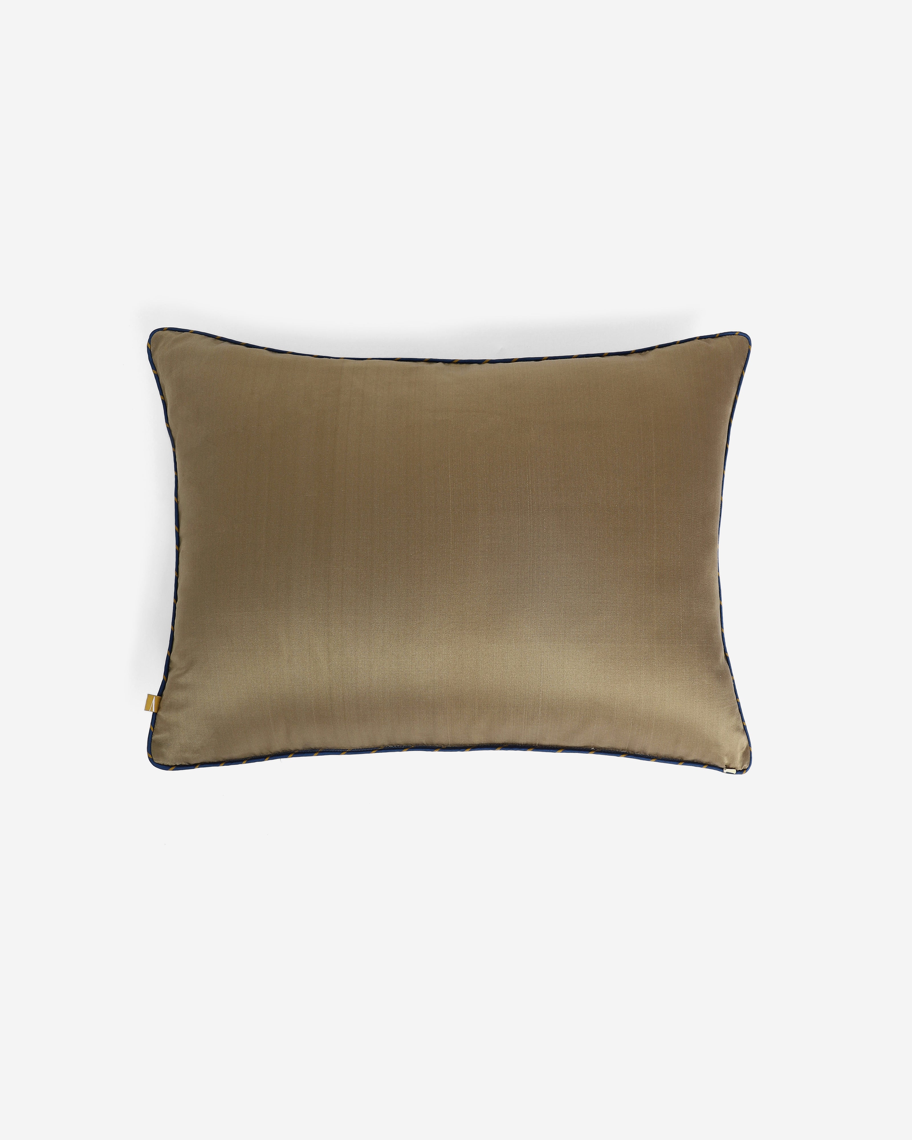 Akasha Bhujodi Mashru Viscose Cotton Cushion Cover