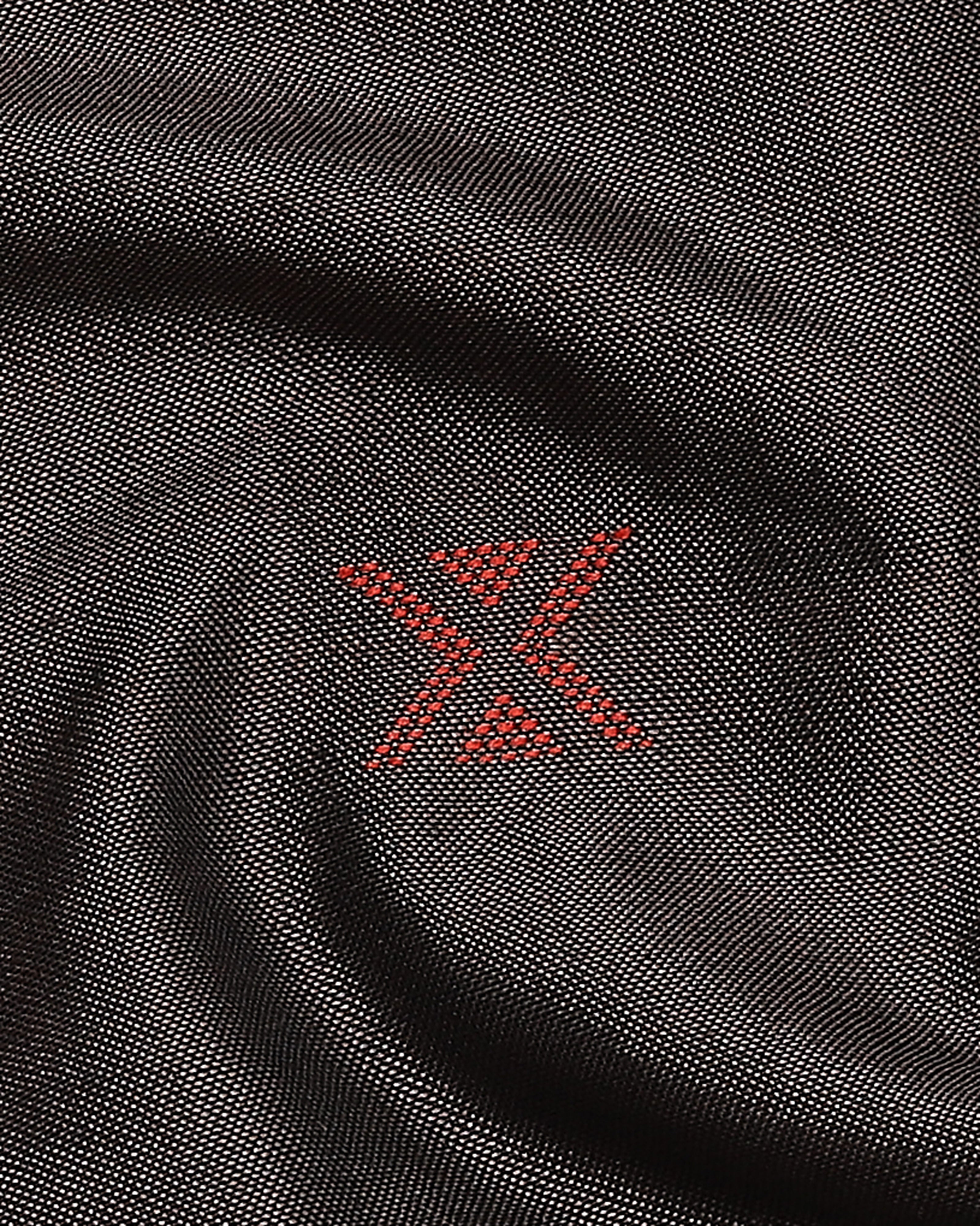 Anaka Bhujodi Extra Weft Cotton Silk Saree