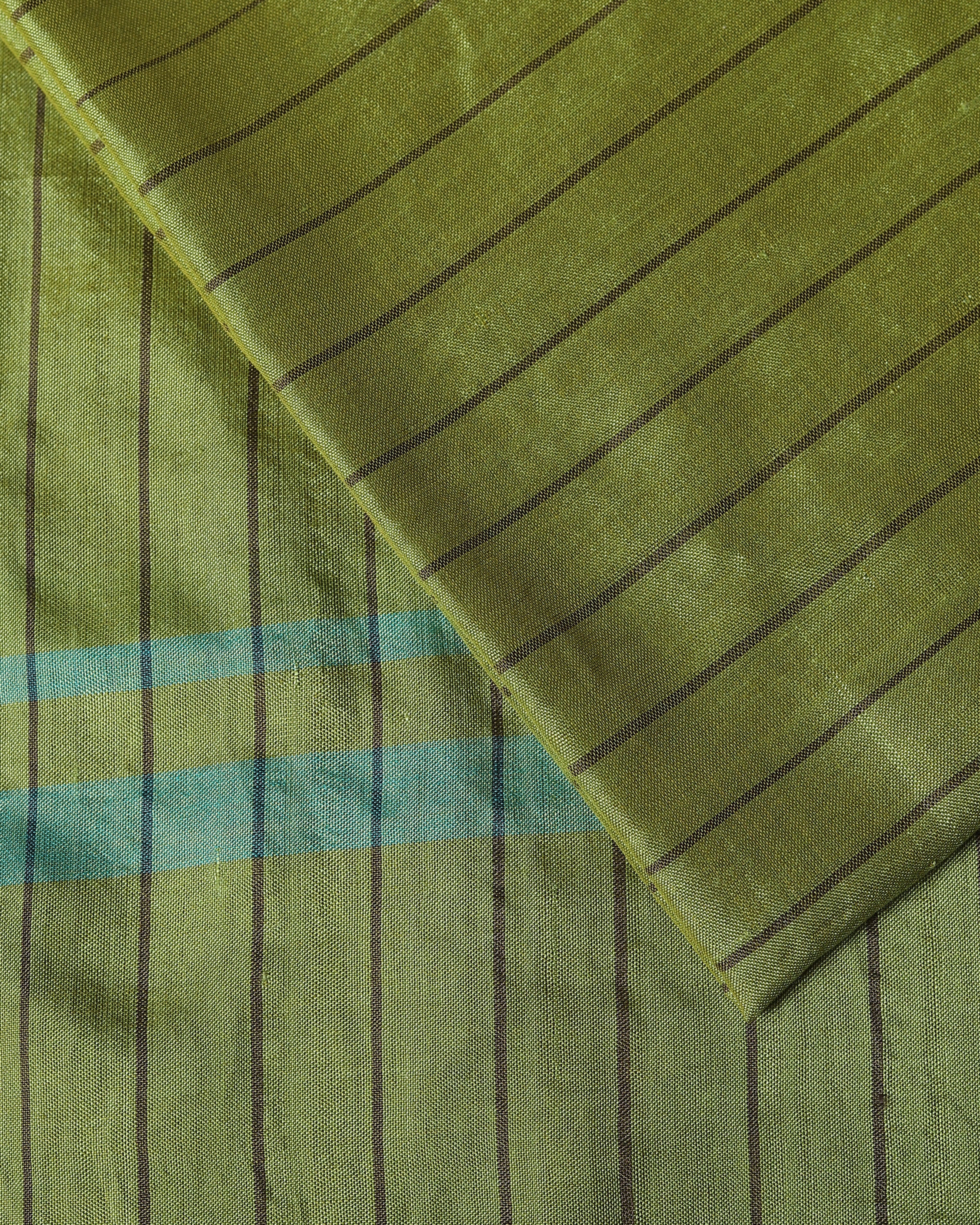 Panita Bhujodi Extra Weft Cotton Silk Saree