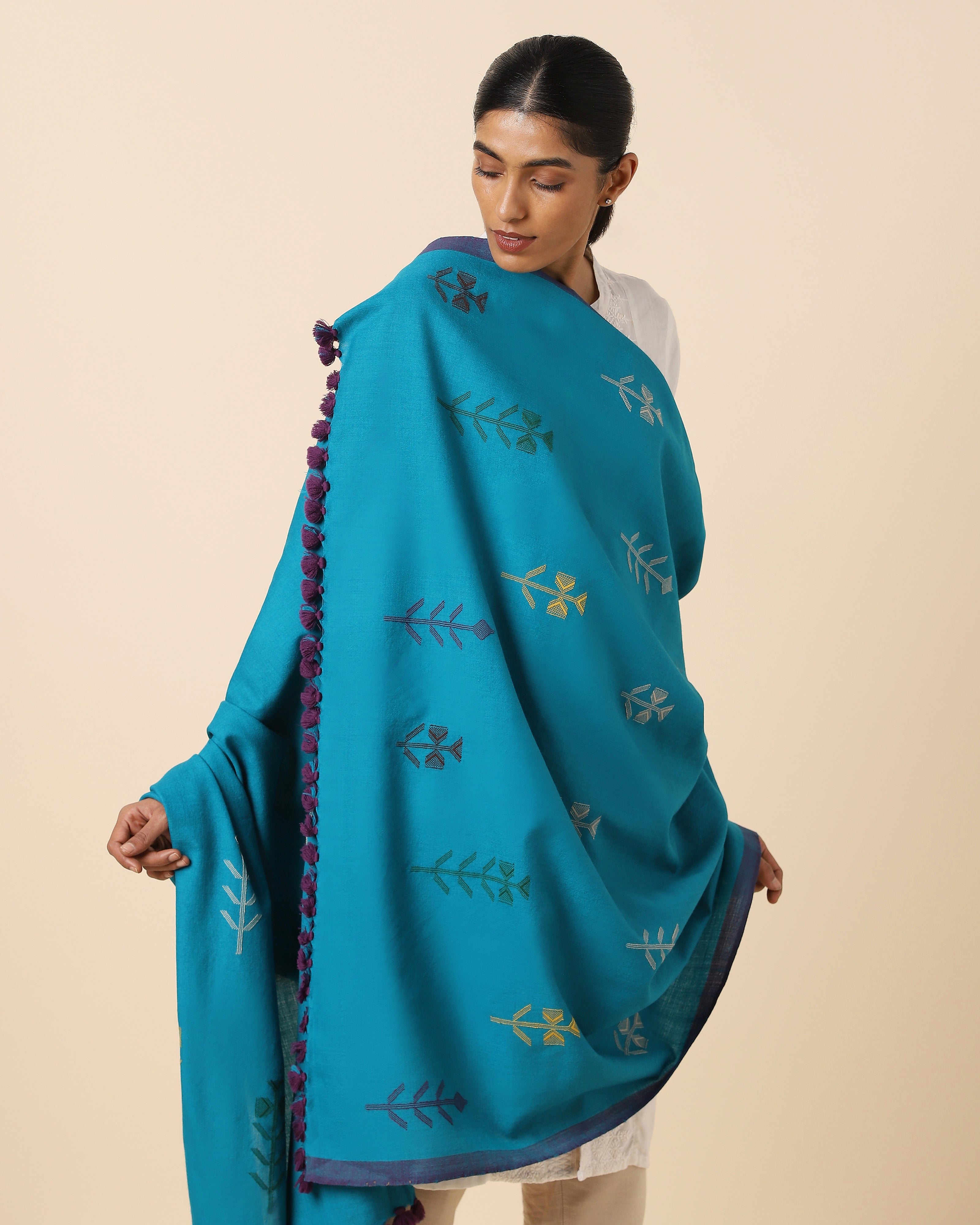 Pala Bhujodi Extra Weft Woolen Shawl