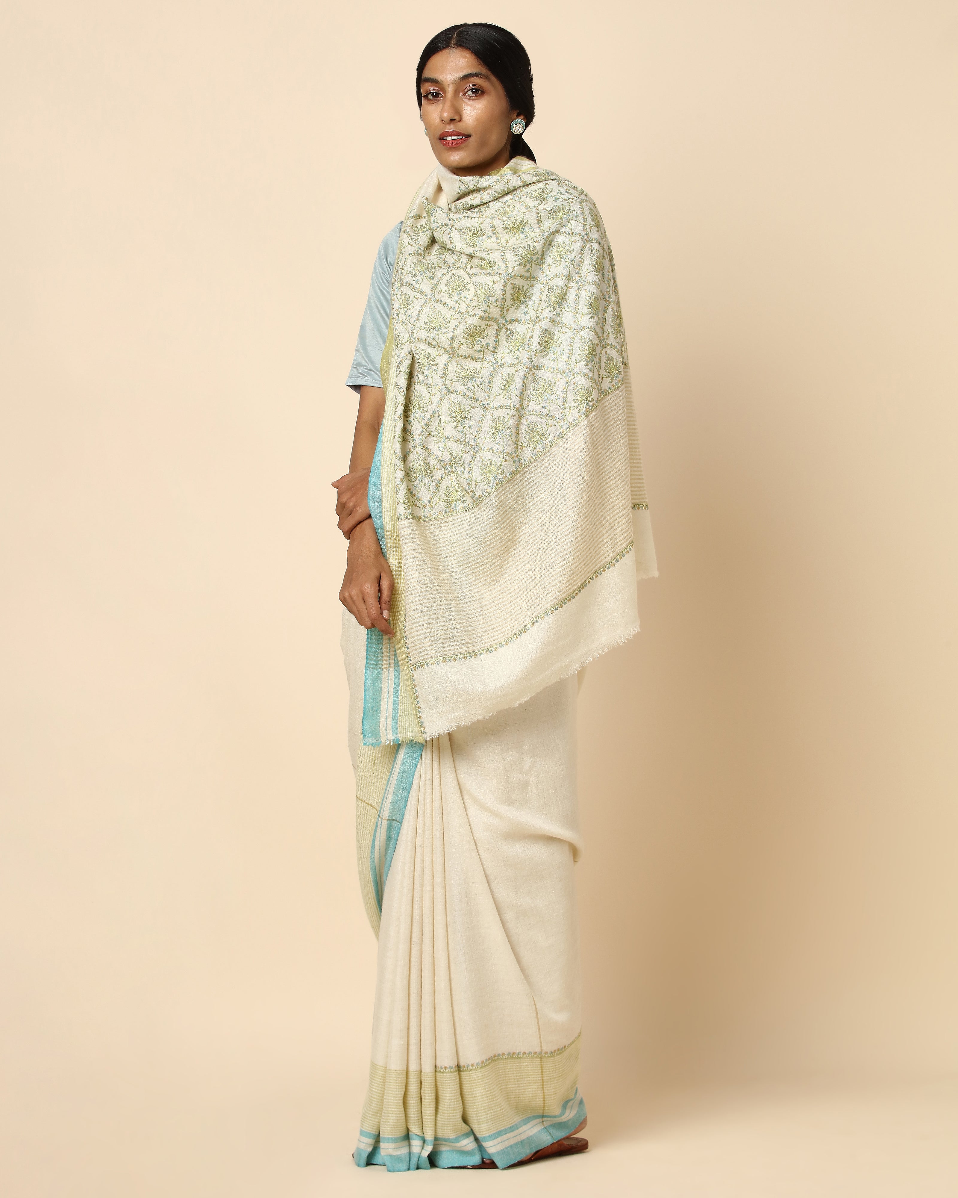 Sayan Kashmir Sozni Embroidery Pashmina Saree