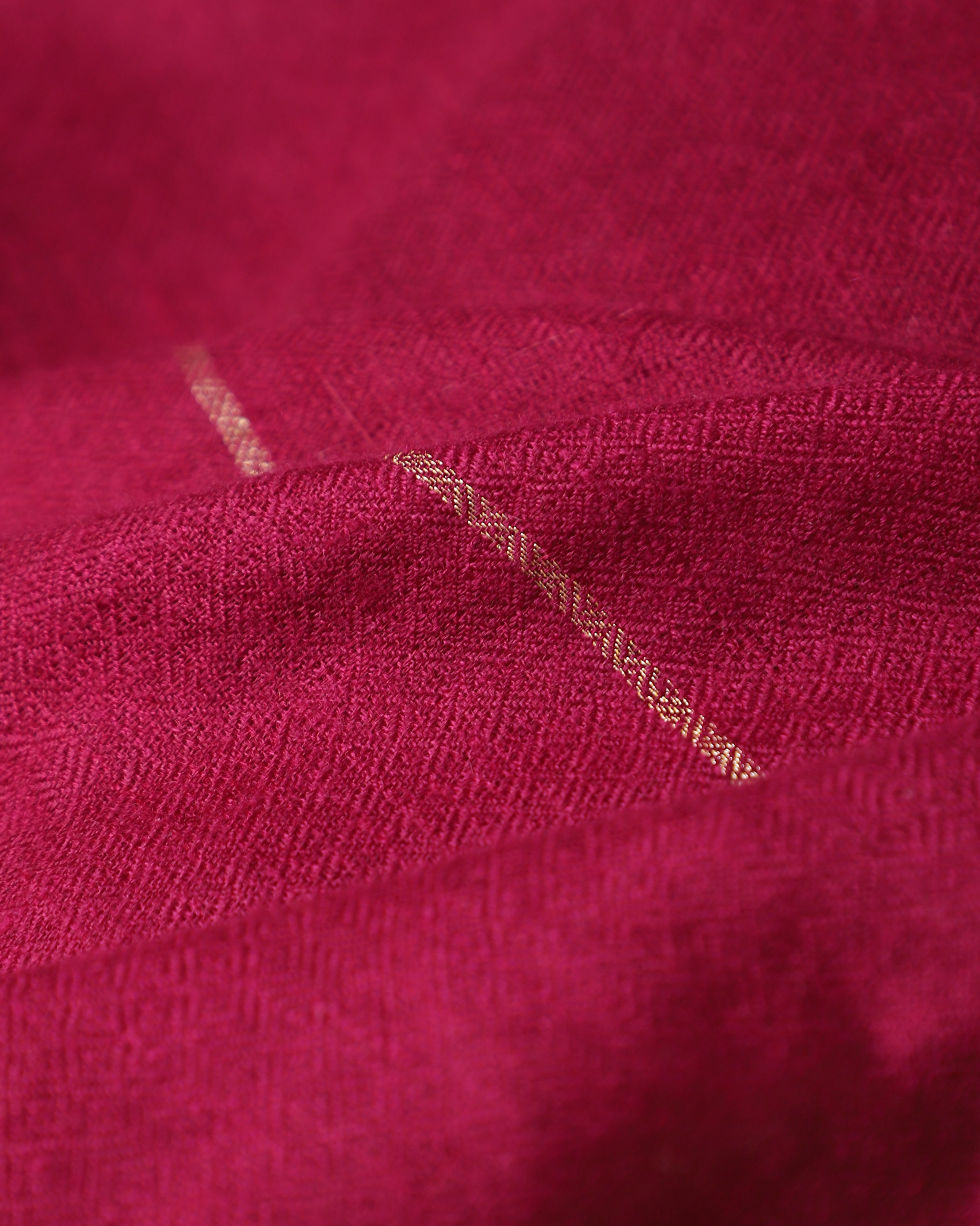 Sayan Kashmir Sozni Embroidery Pashmina Saree