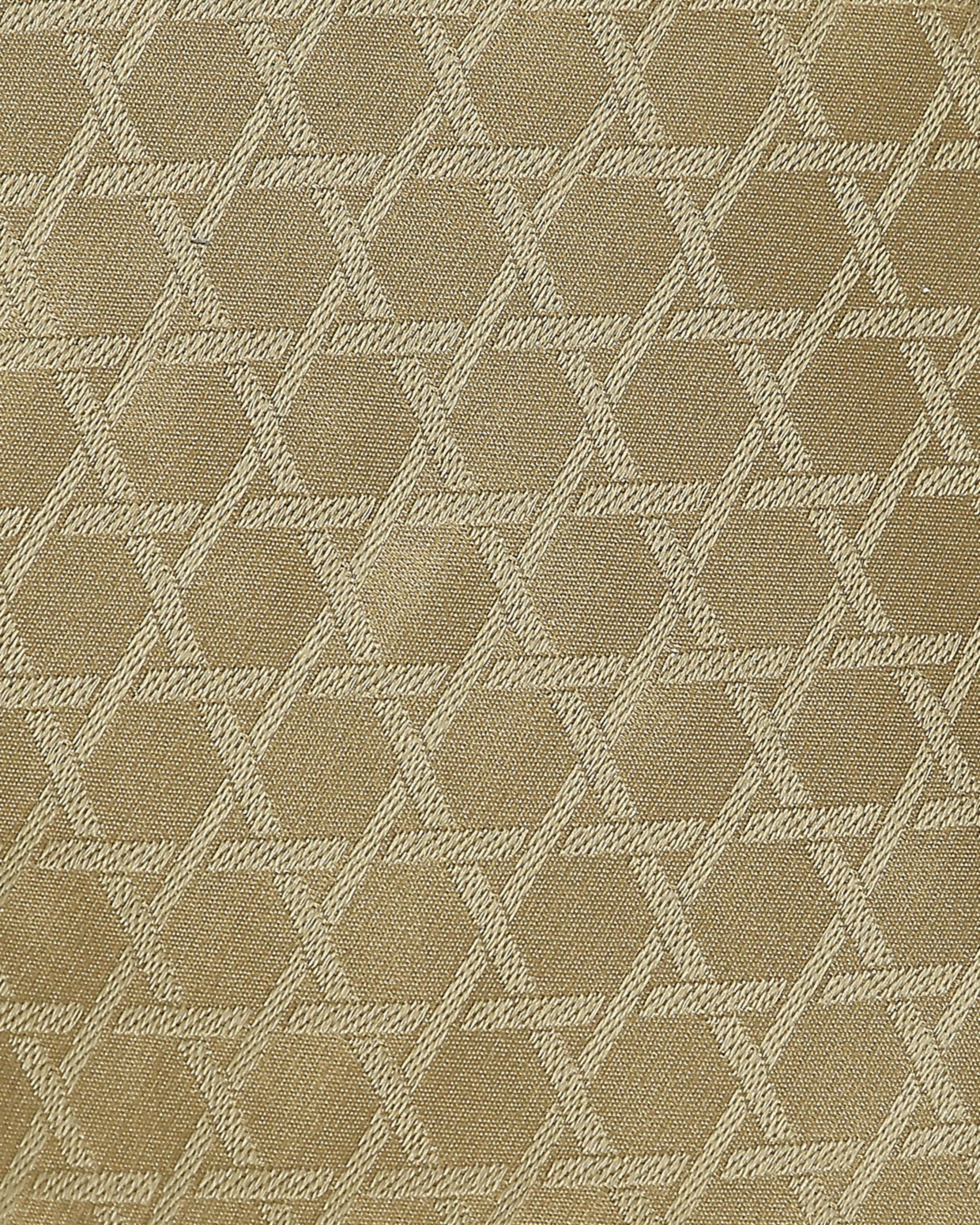 Vega Banarasi Tanchoi Silk Suit Fabric