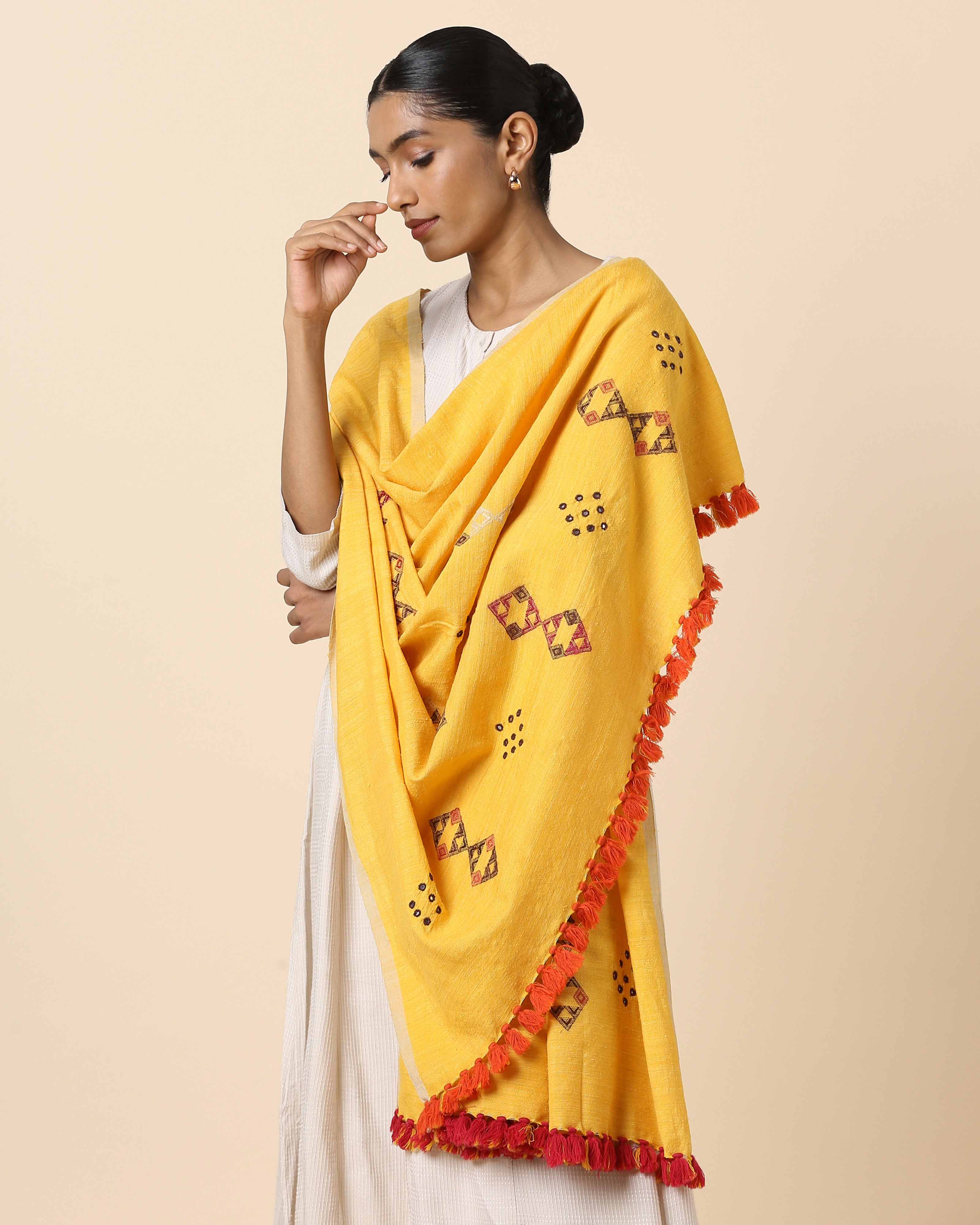 Banushri Bhujodi Extra Weft Wool Silk Shawl