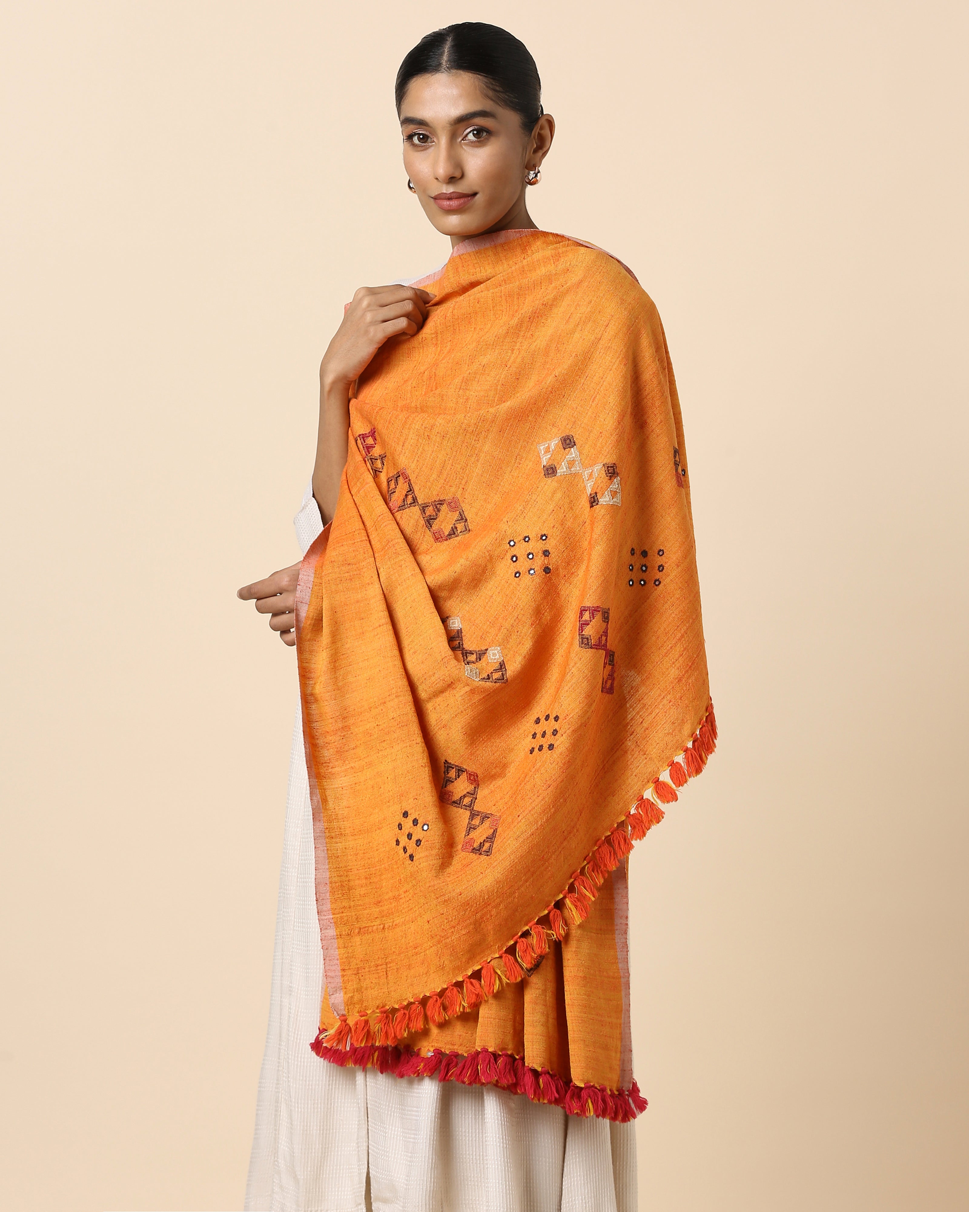 Banushri Bhujodi Extra Weft Wool Silk Shawl