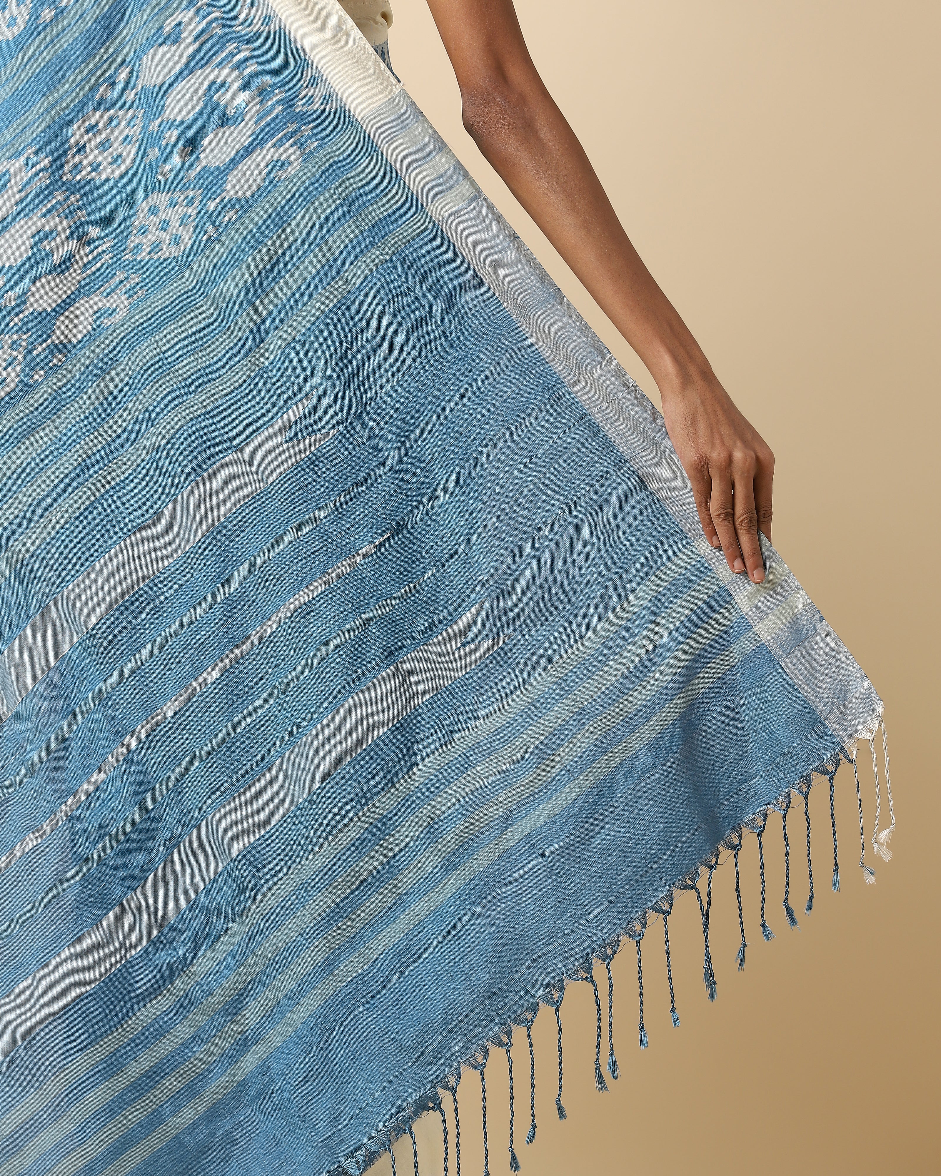 Ranjini Pochampally Weft Ikat Silk Saree