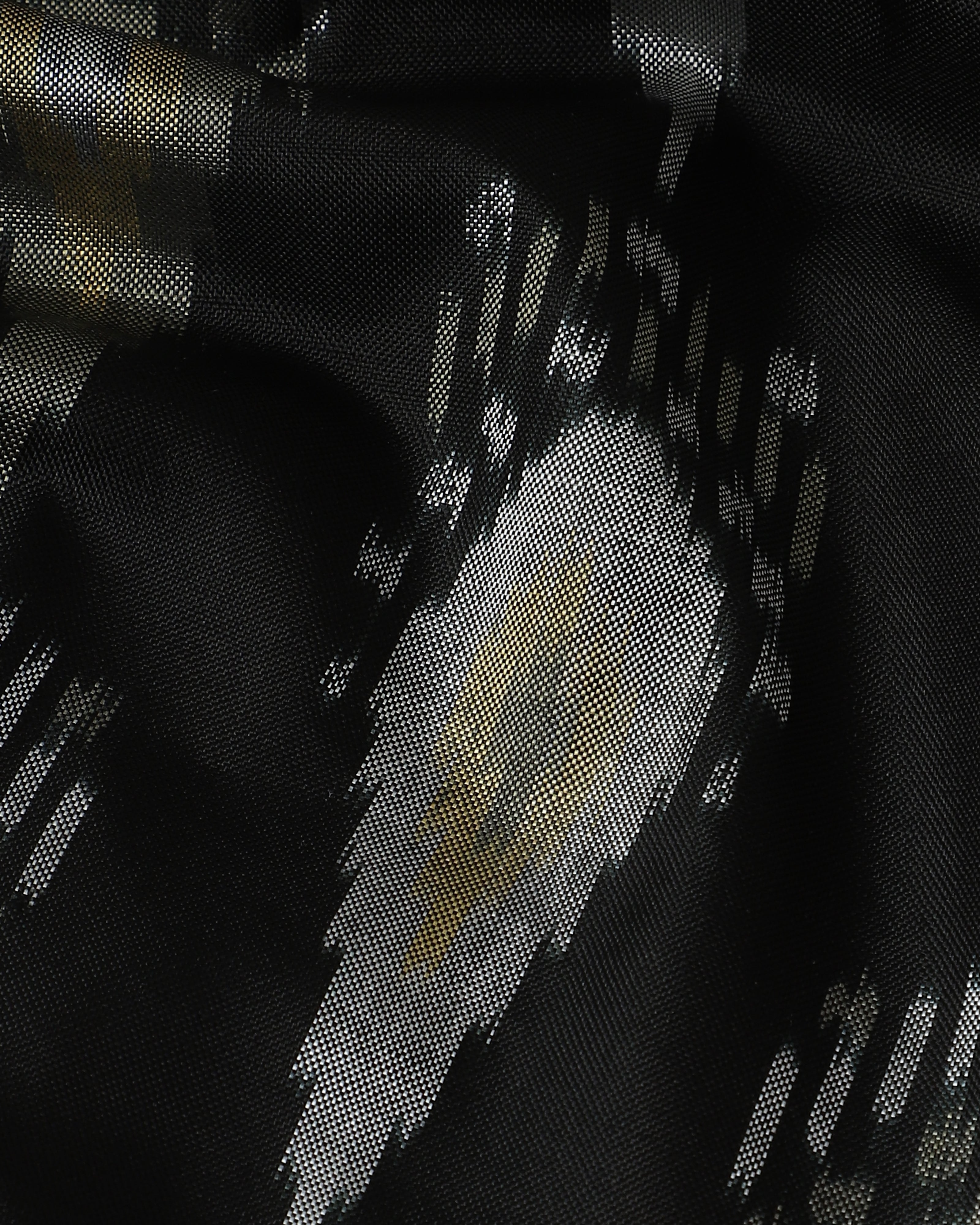 Rewani Pochampally Weft Ikat Silk Saree