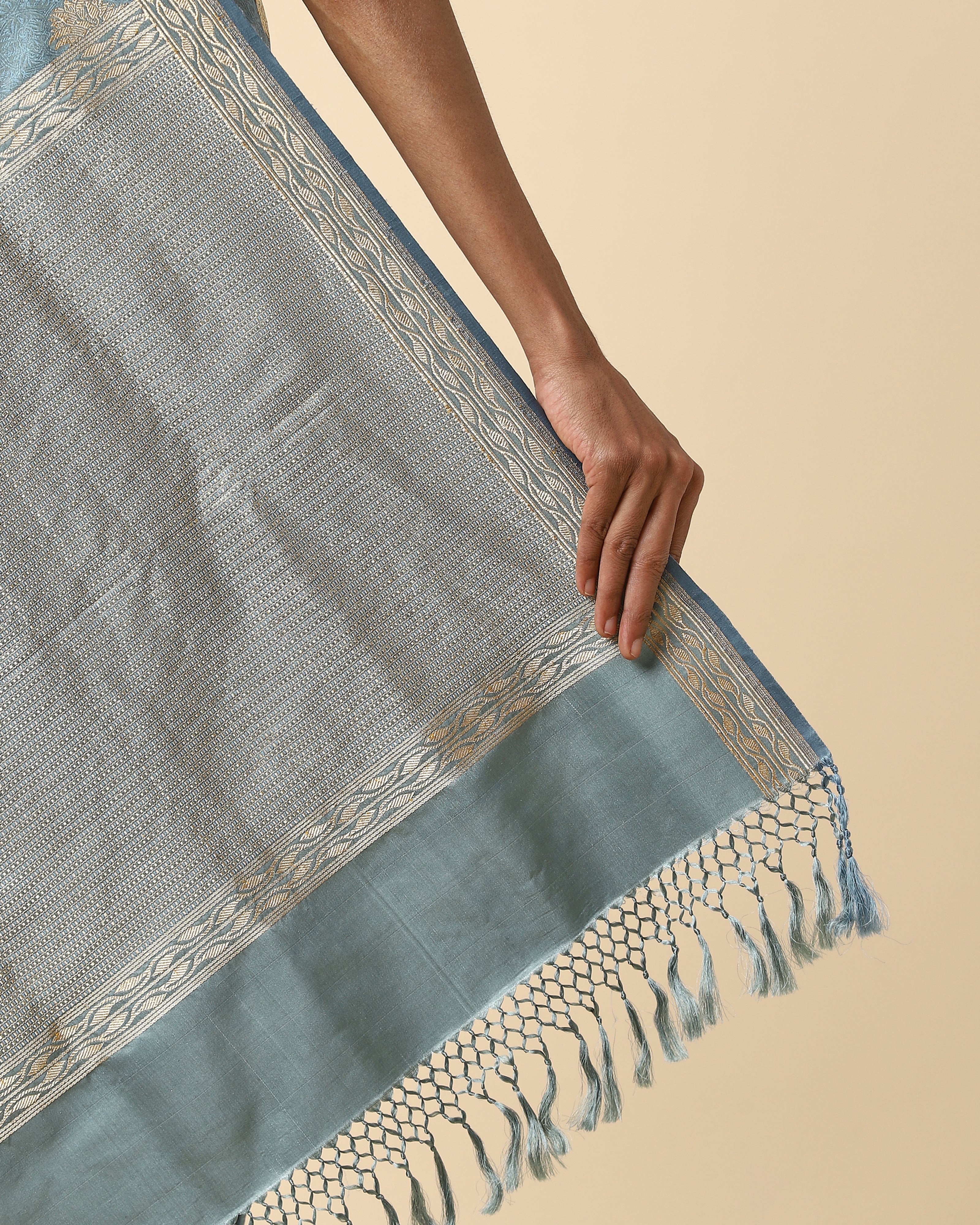 Hadria Banarasi Tanchoi Silk Saree