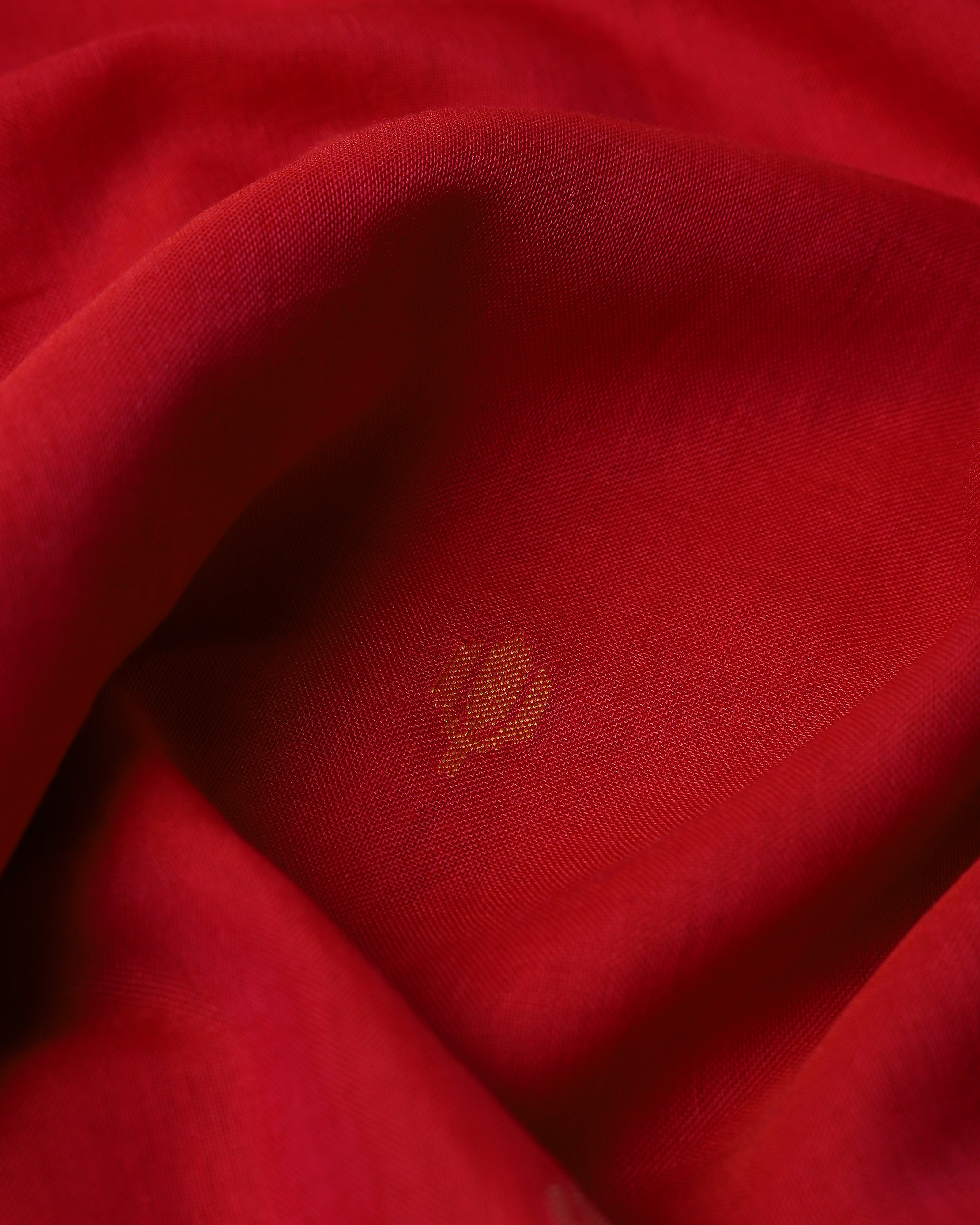 Shreenika Banarasi Kadwa Cotton Saree