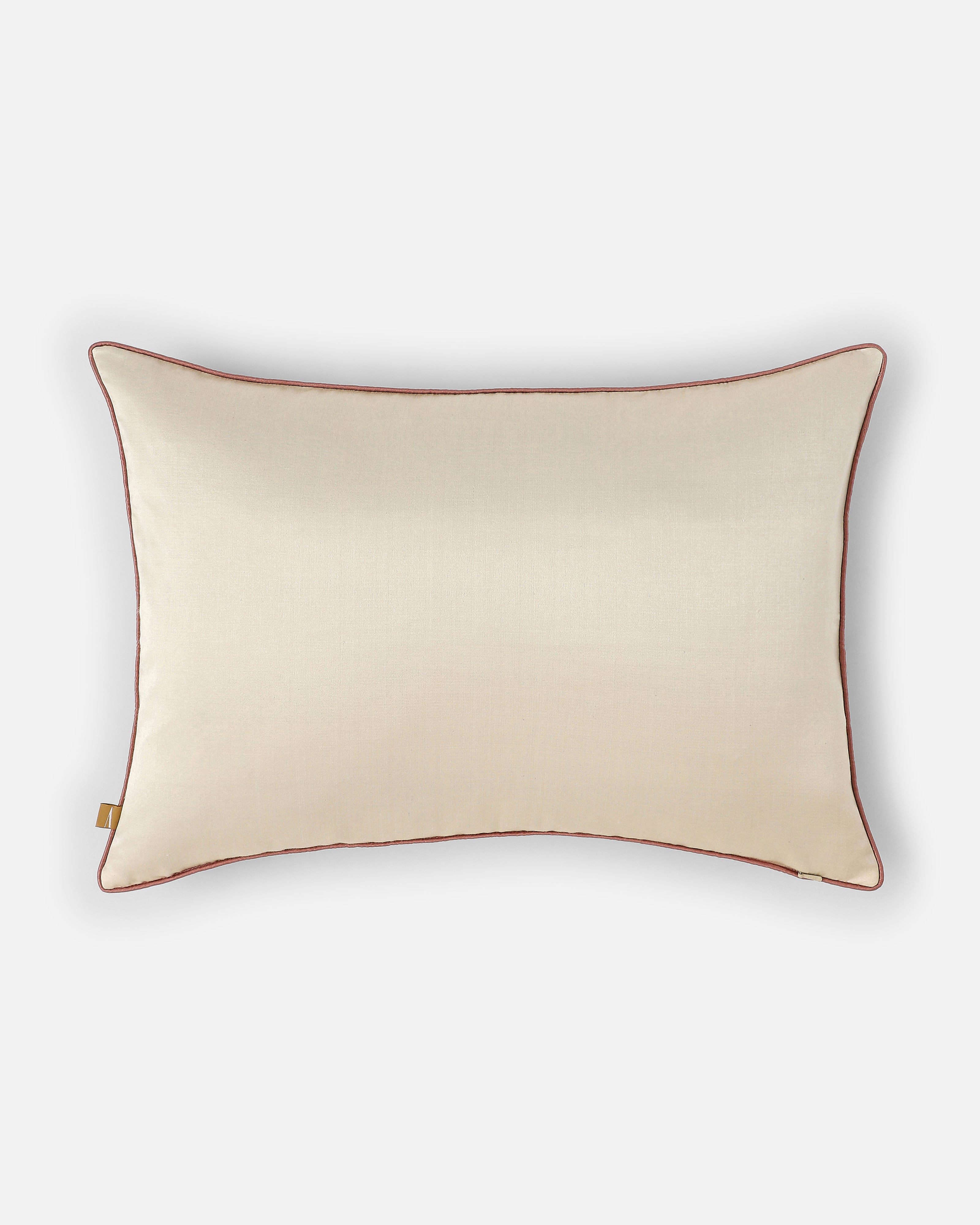 Kisa Banarasi Satin Silk Cotton Cushion Cover