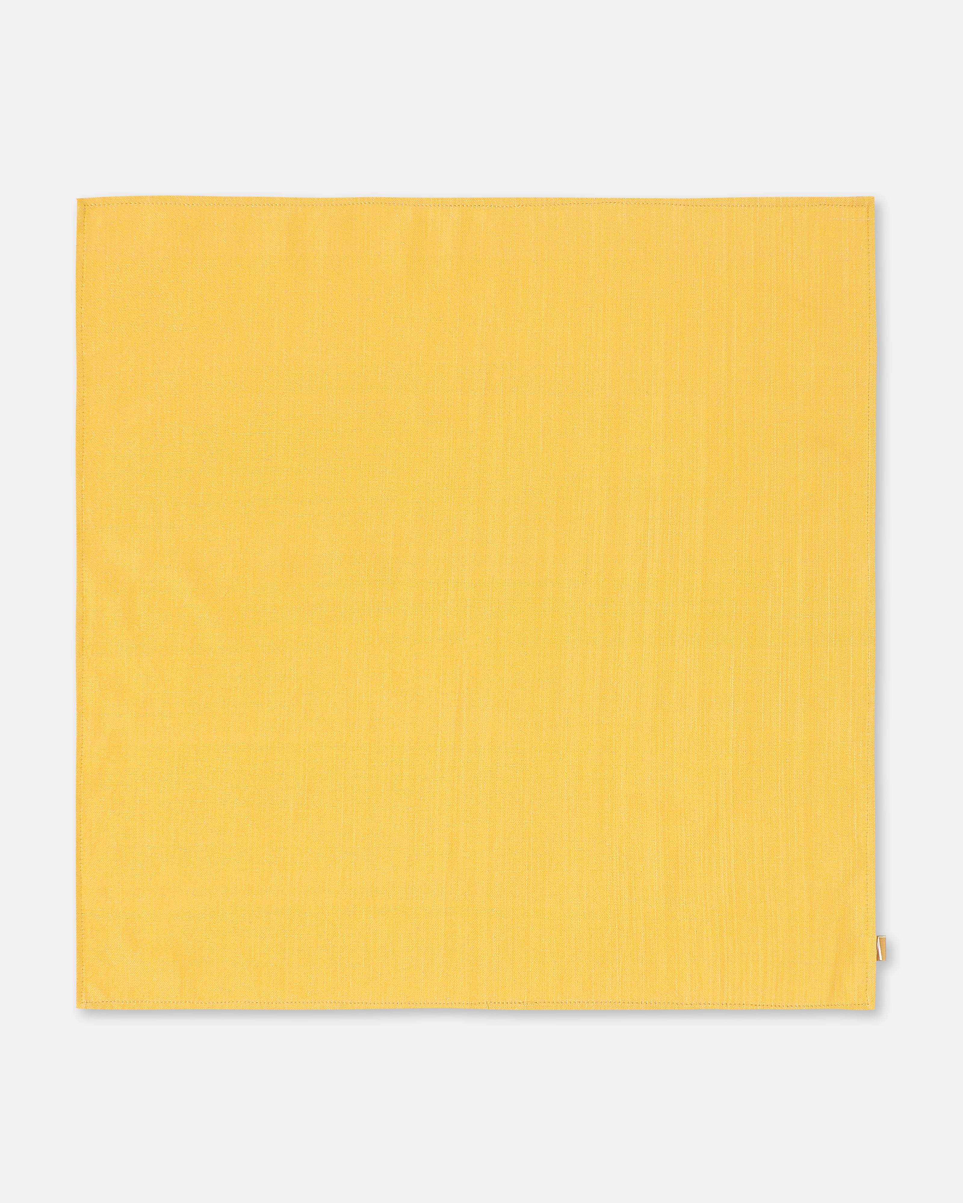 Misa Bhujodi Extra Weft Cotton Table Napkins | Set of 6