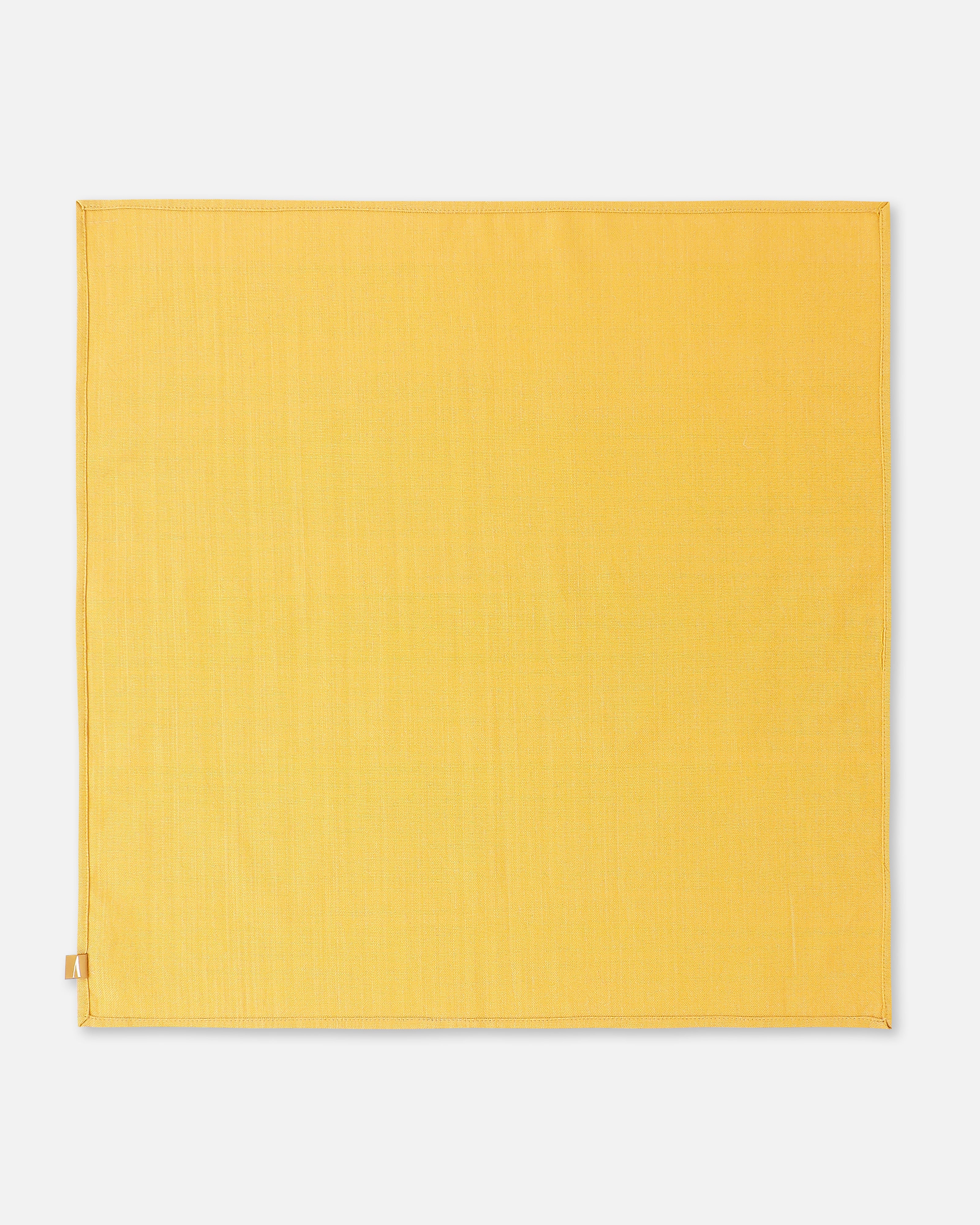 Misa Bhujodi Extra Weft Cotton Table Napkins | Set of 6