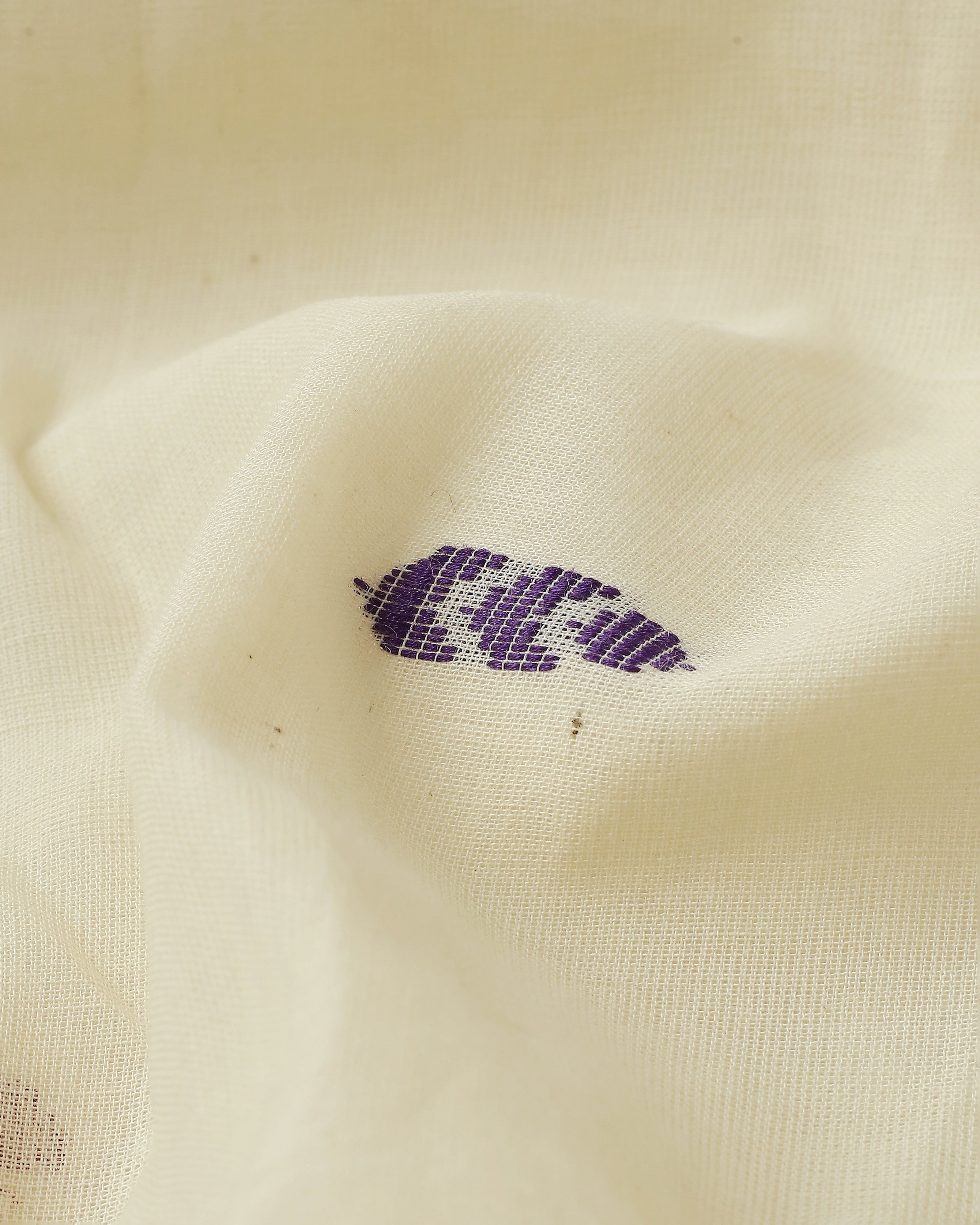 Chaitra Angara Jala Cotton Saree