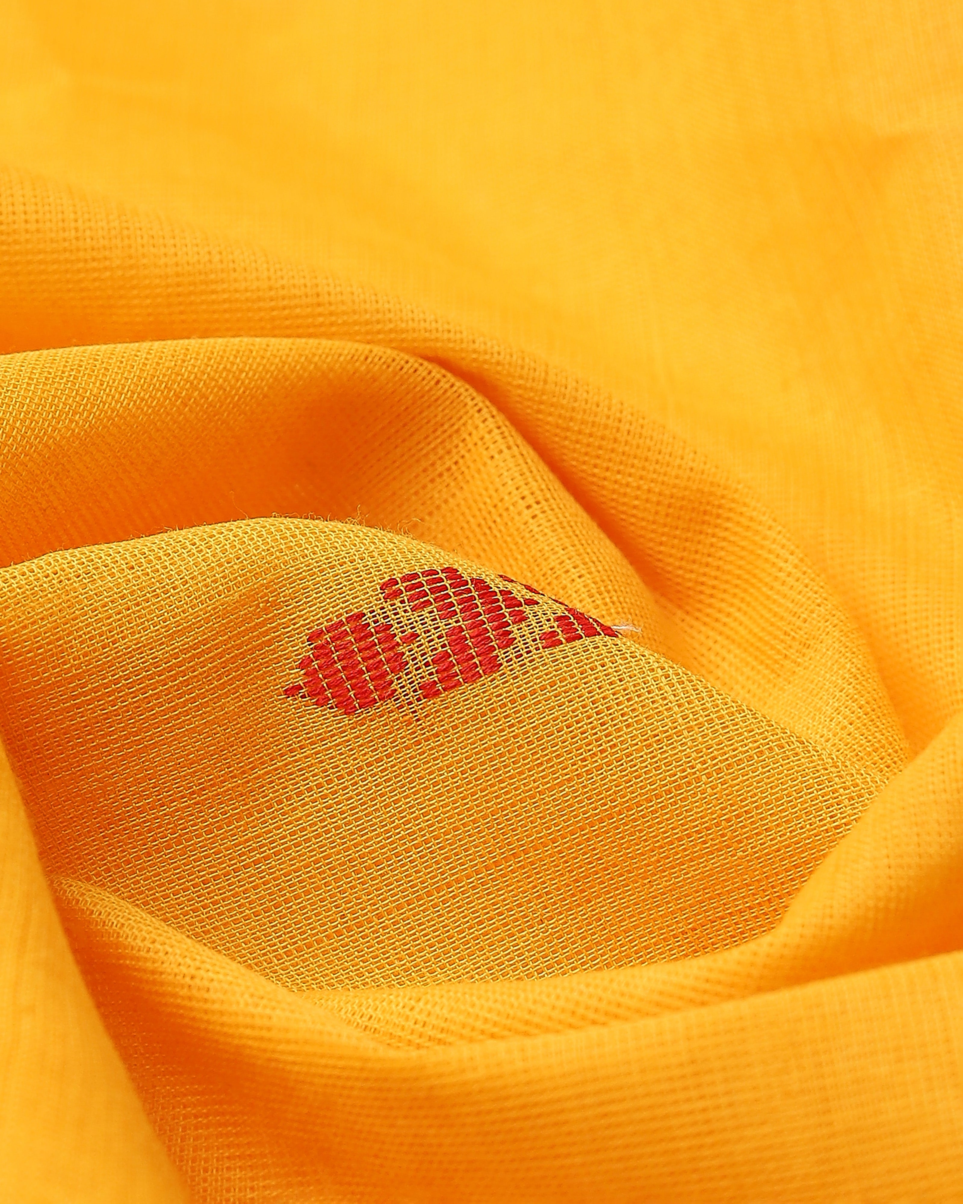 Chaitra Angara Jala Cotton Saree