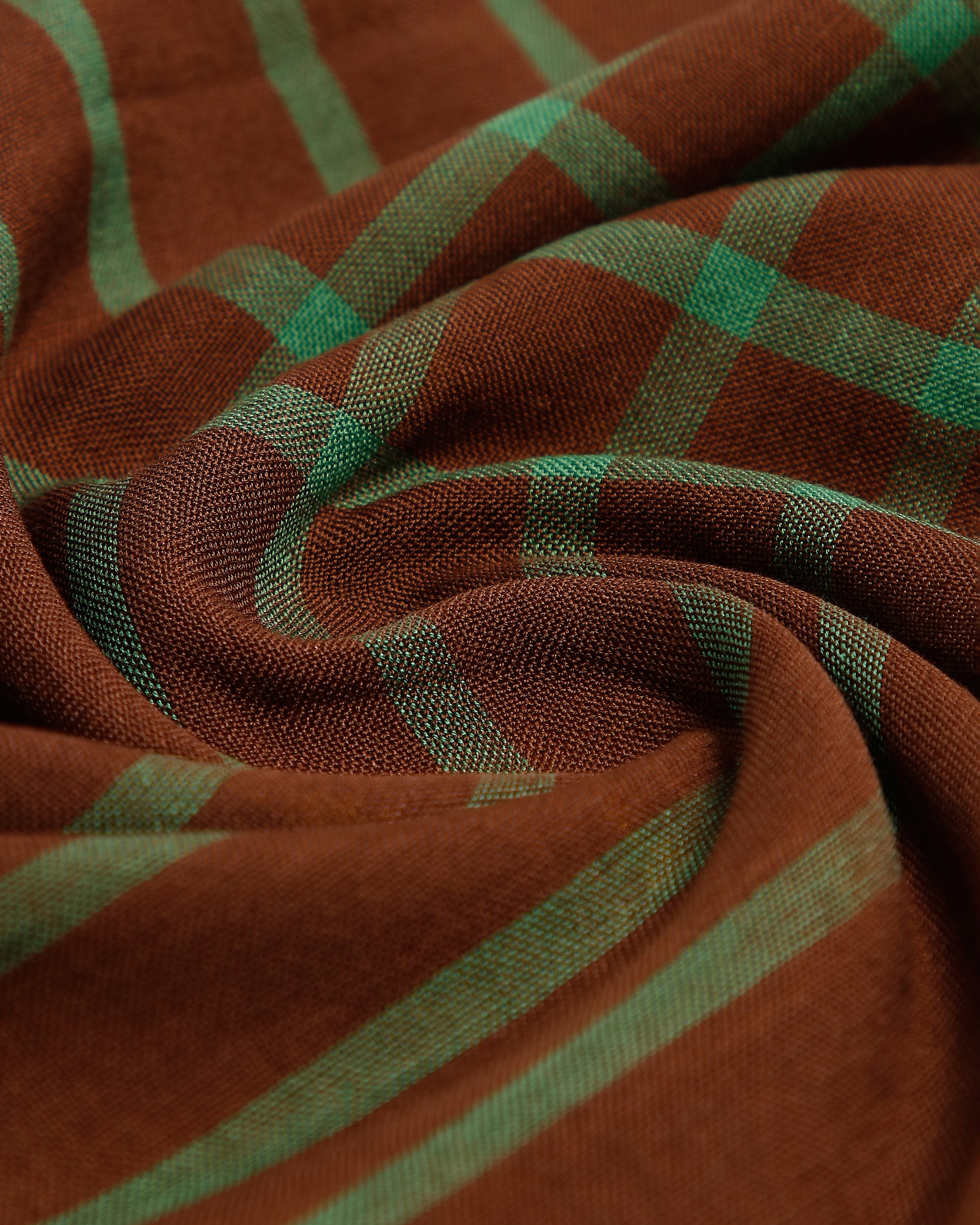 Anaka Bhujodi Extra Weft Cotton Saree