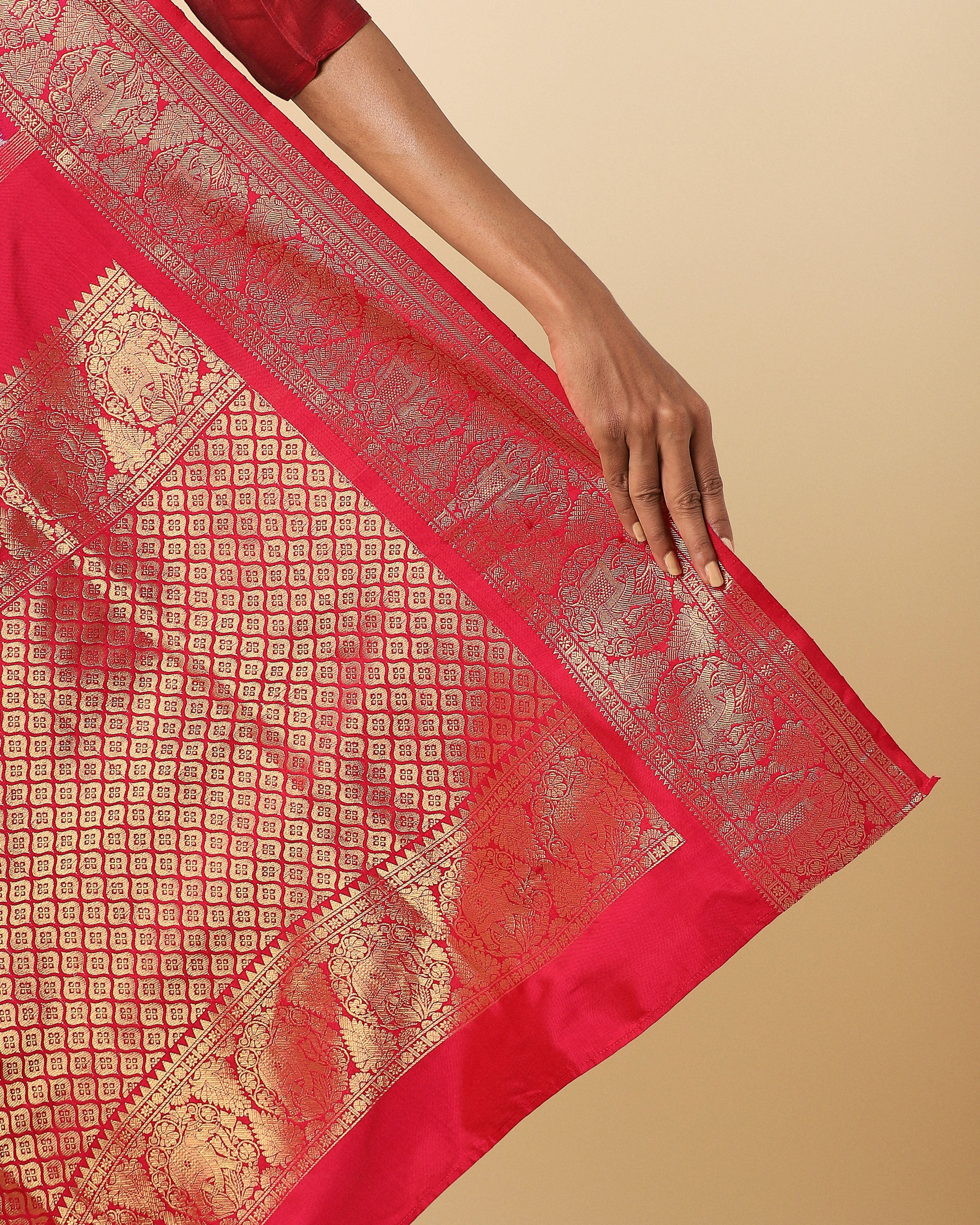 Aabroo Pochampally Weft Ikat Silk Saree