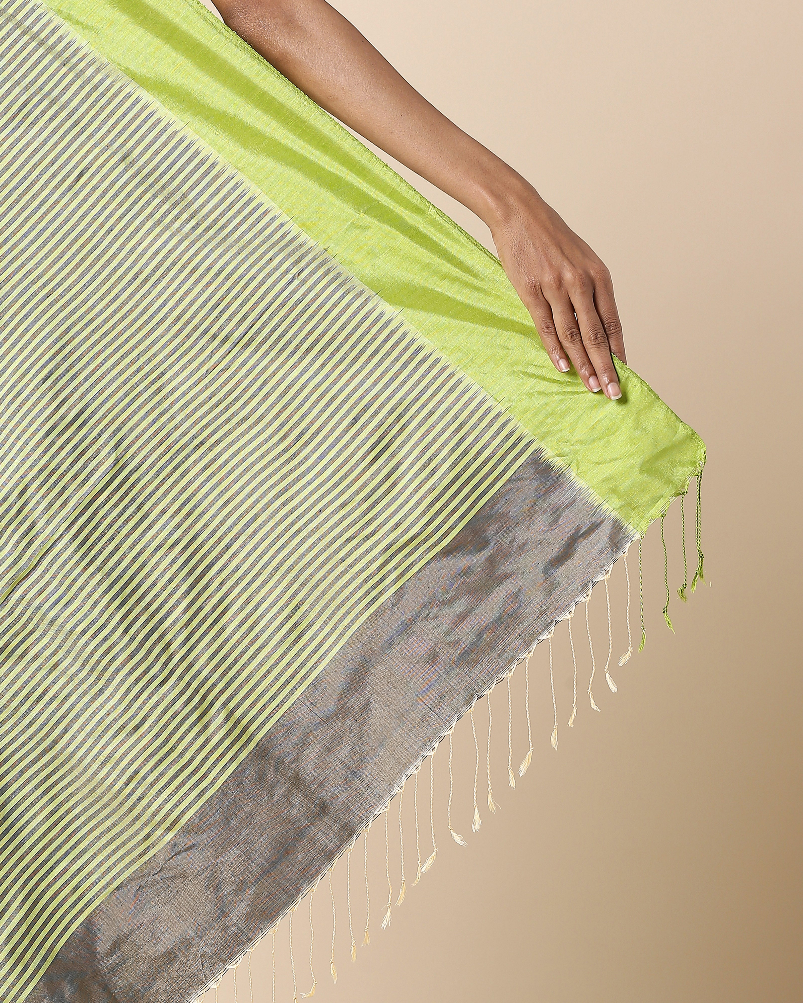 Briseis Pochampally Warp Ikat Silk Saree