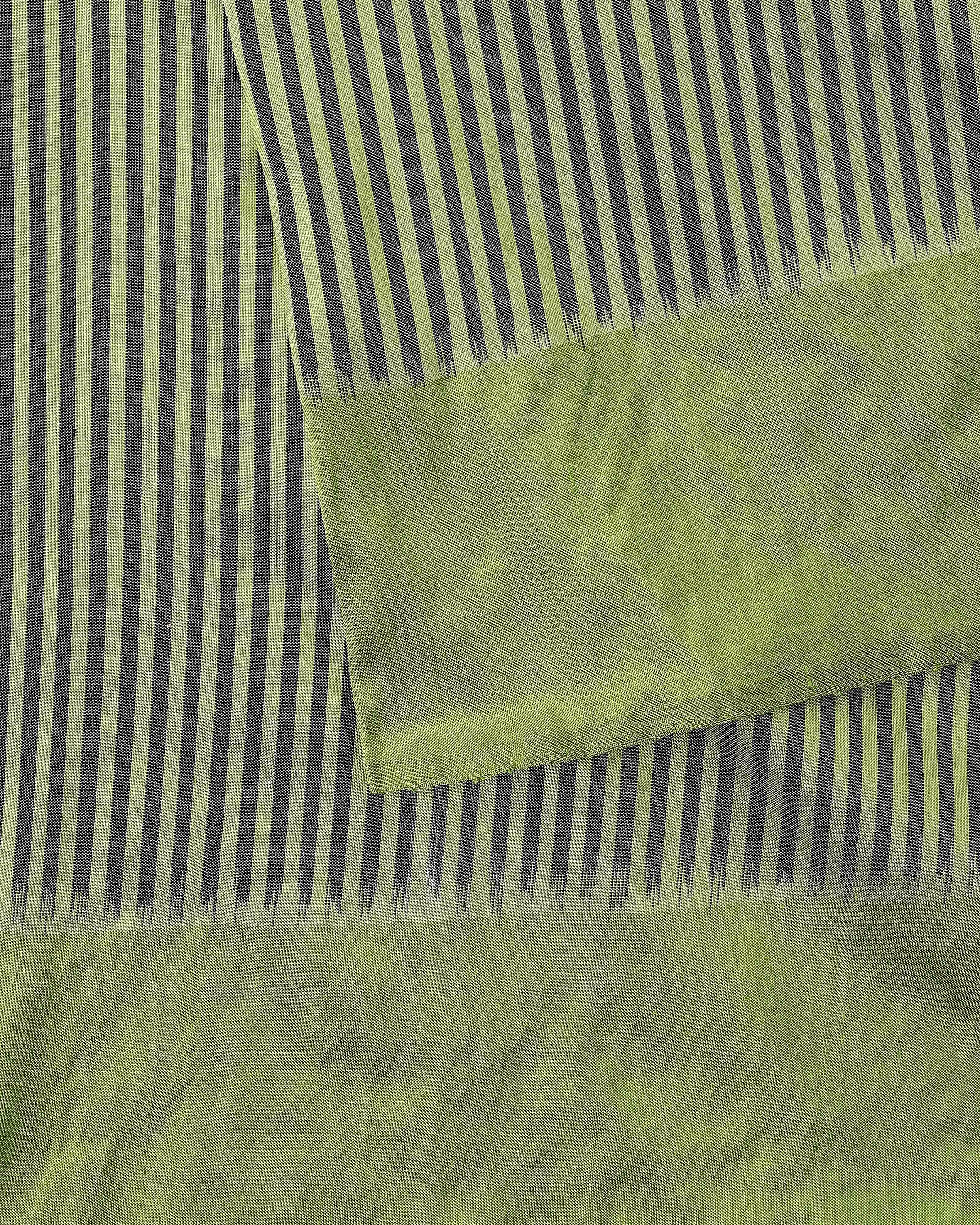 Briseis Pochampally Warp Ikat Silk Saree