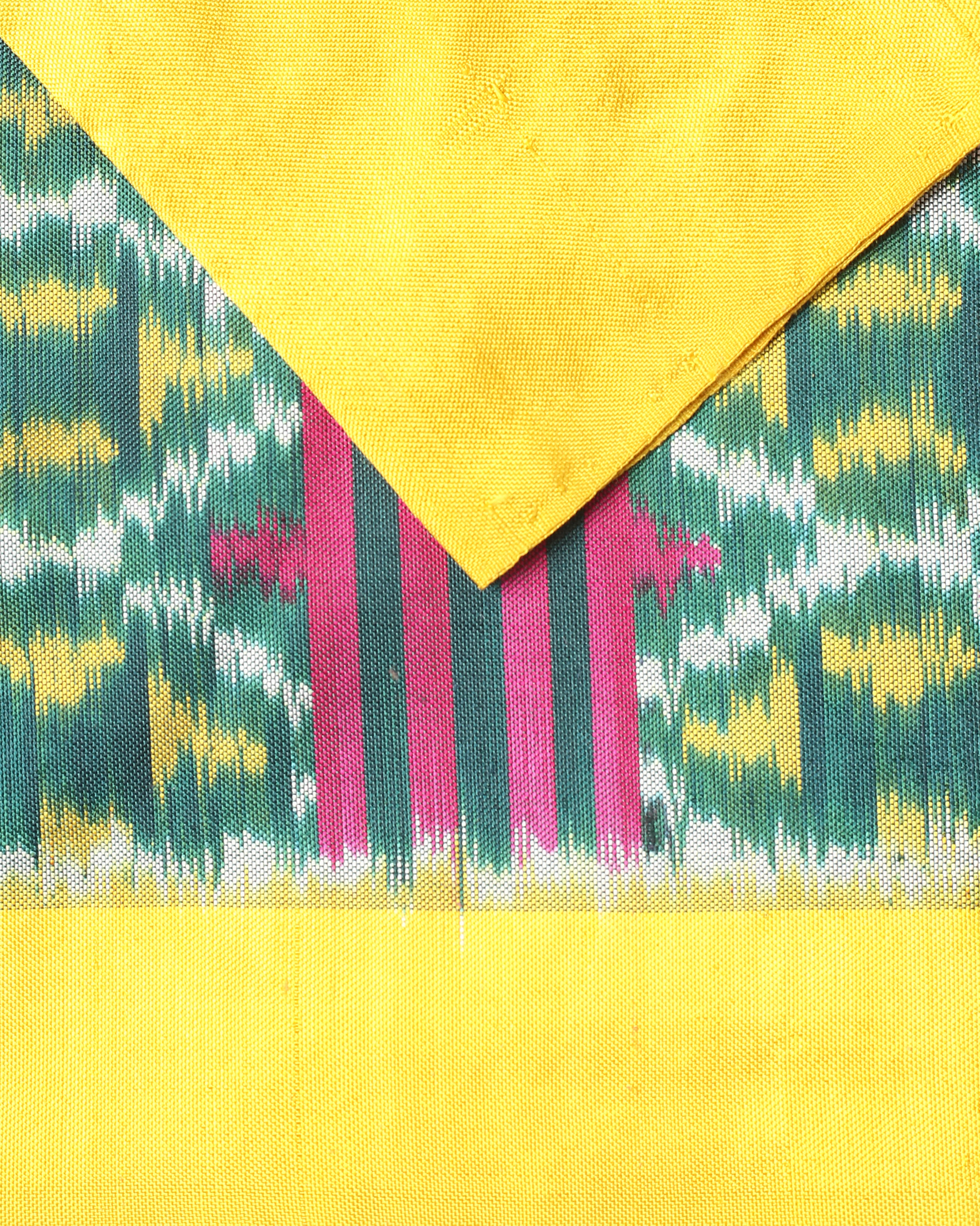 Ezri Pochampally Weft Ikat Silk Saree