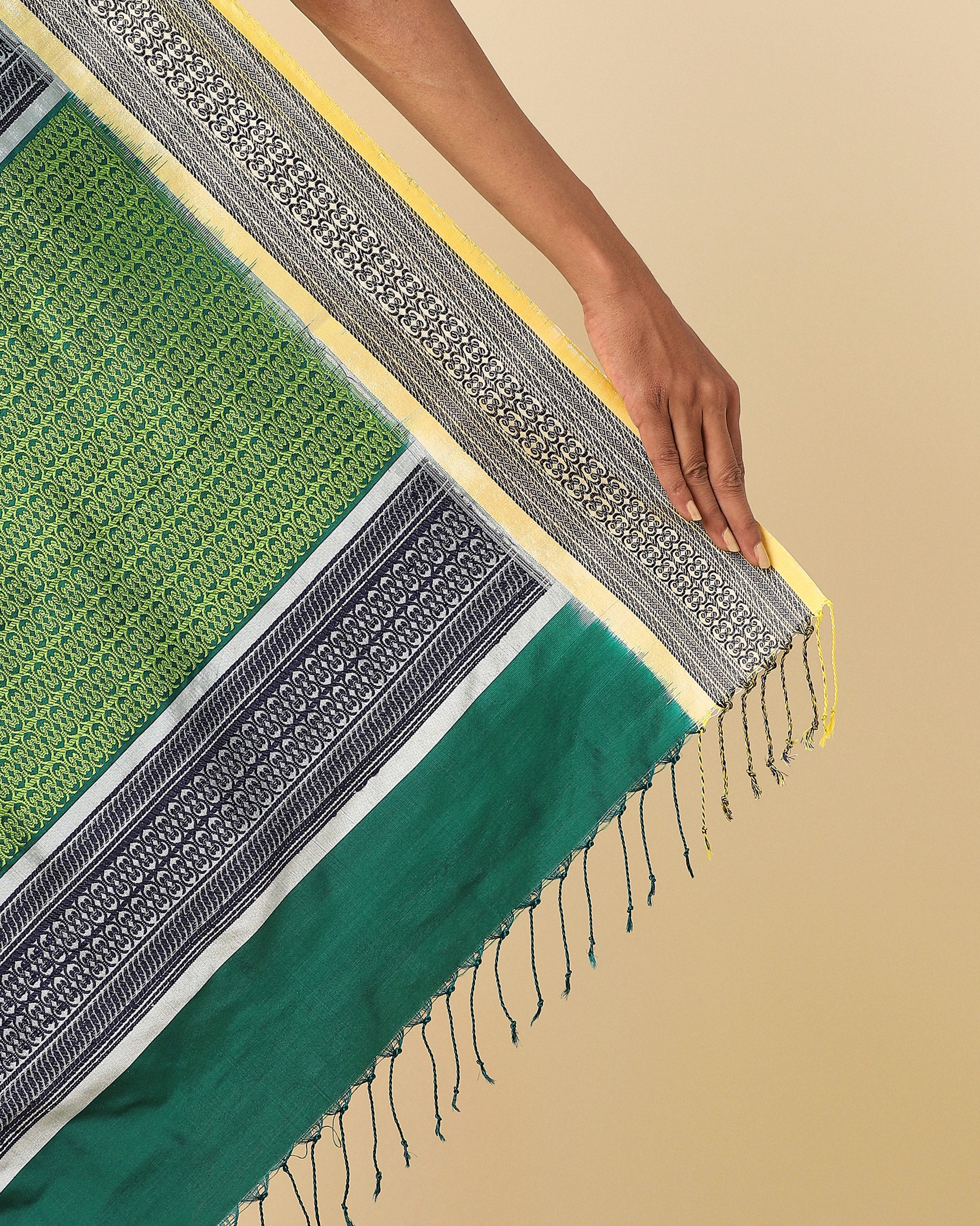 Noor Pochampally Weft Ikat Silk Saree