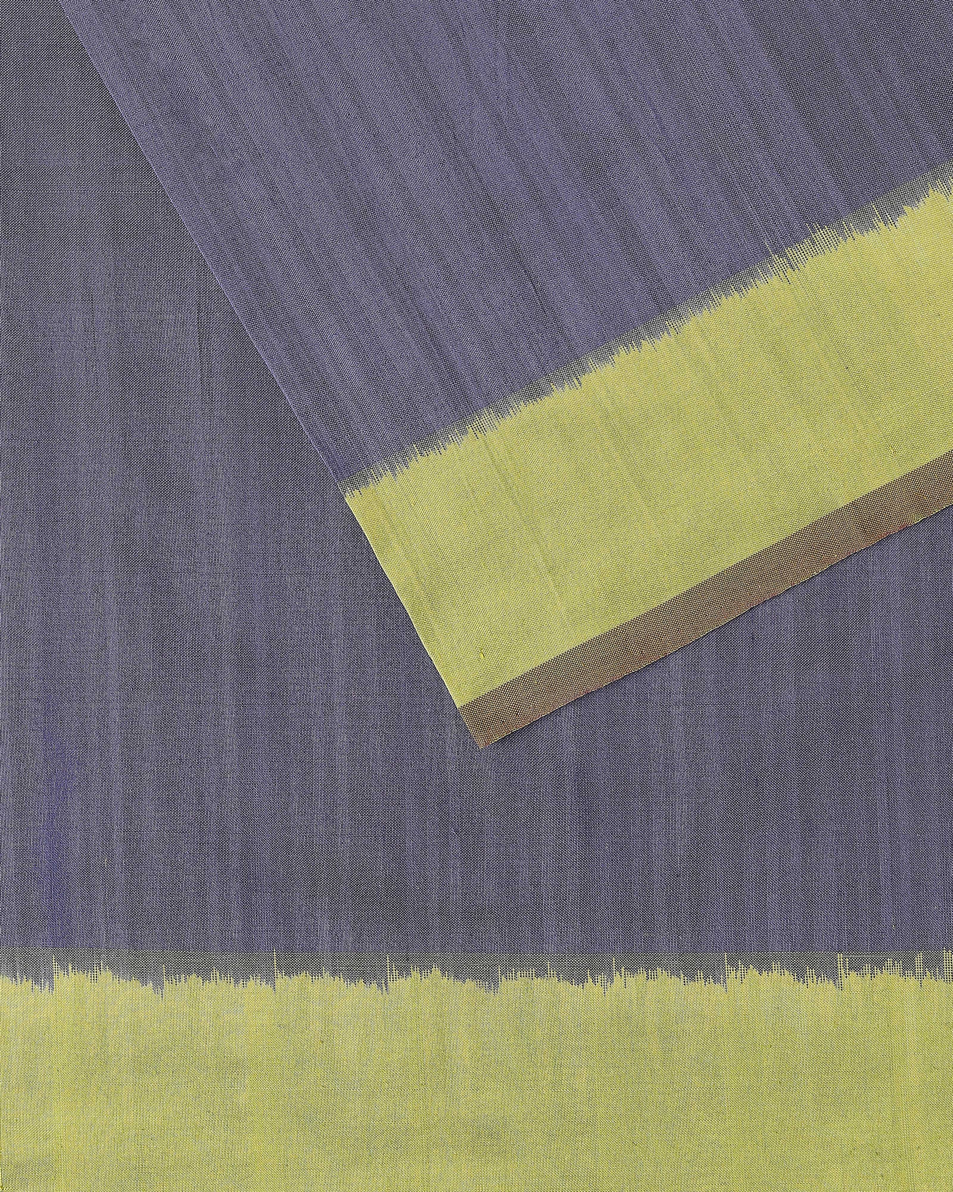 Rio Pochampally Weft Ikat Cotton Silk Saree