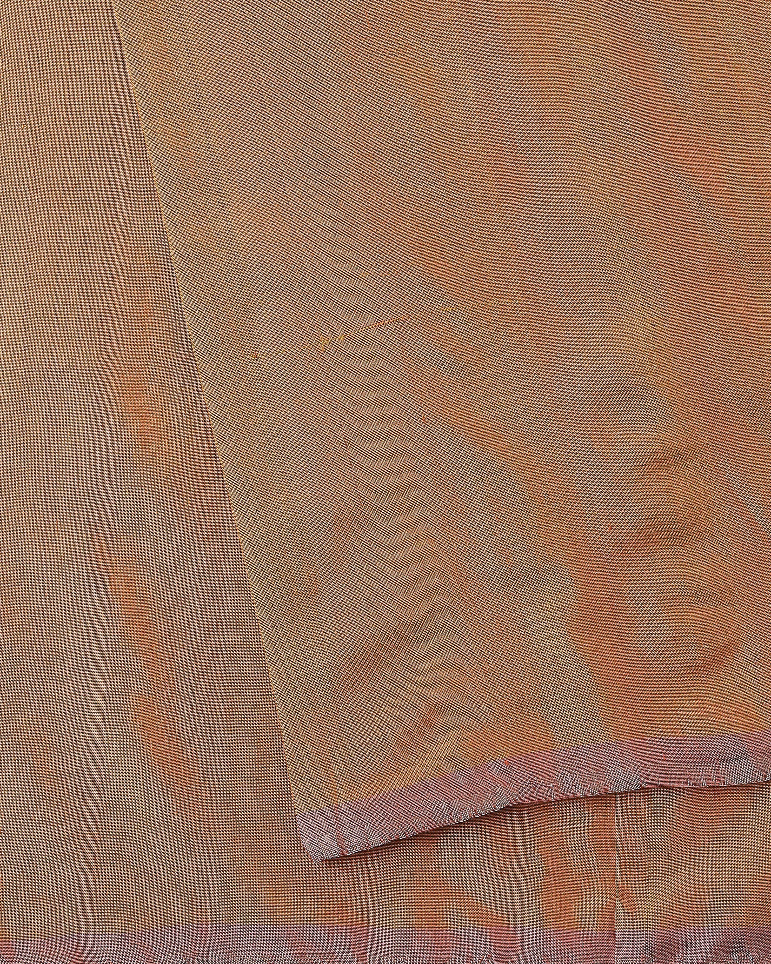 Krisha Pochampally Weft Ikat Silk Saree