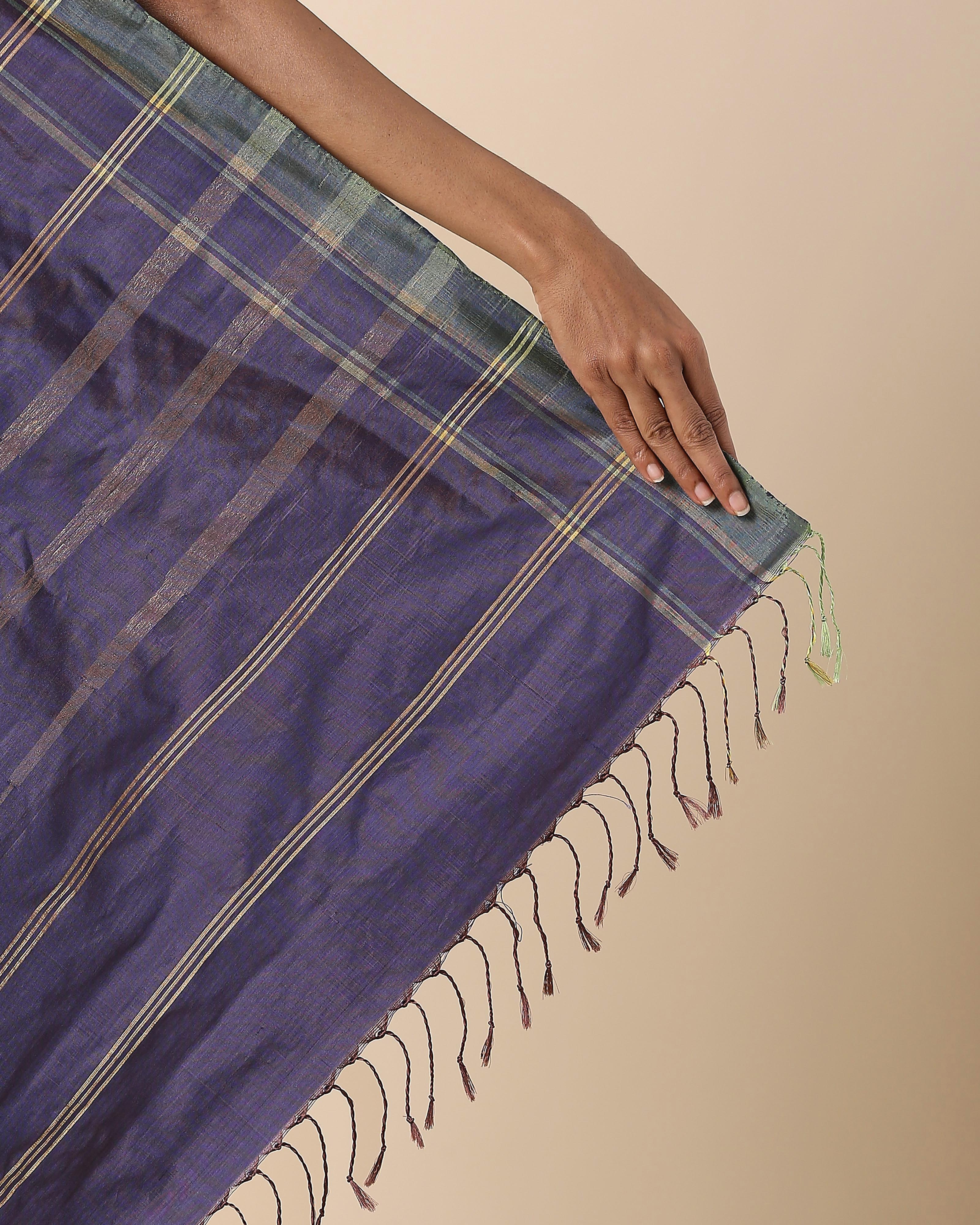 Anayra Pochampally Weft Ikat Silk Saree