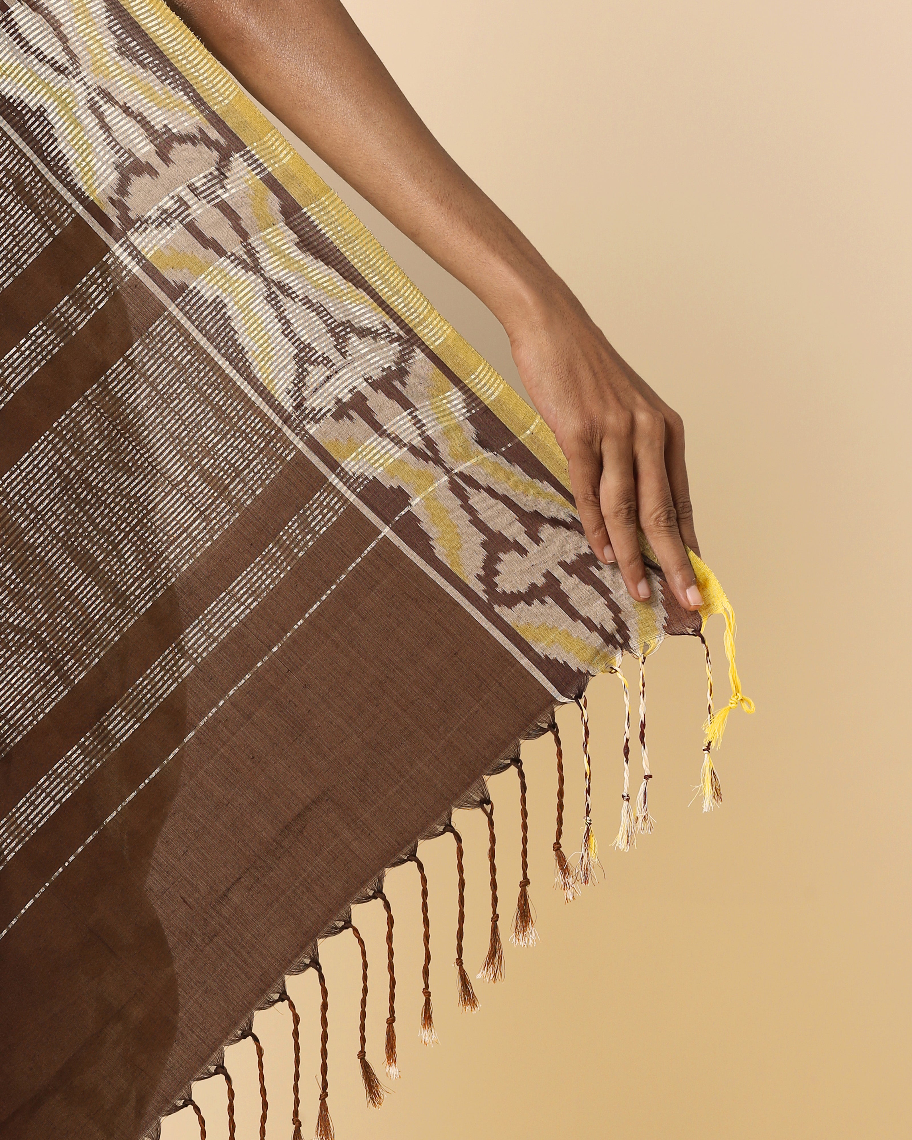 Emie Pochampally Warp Ikat Cotton Saree