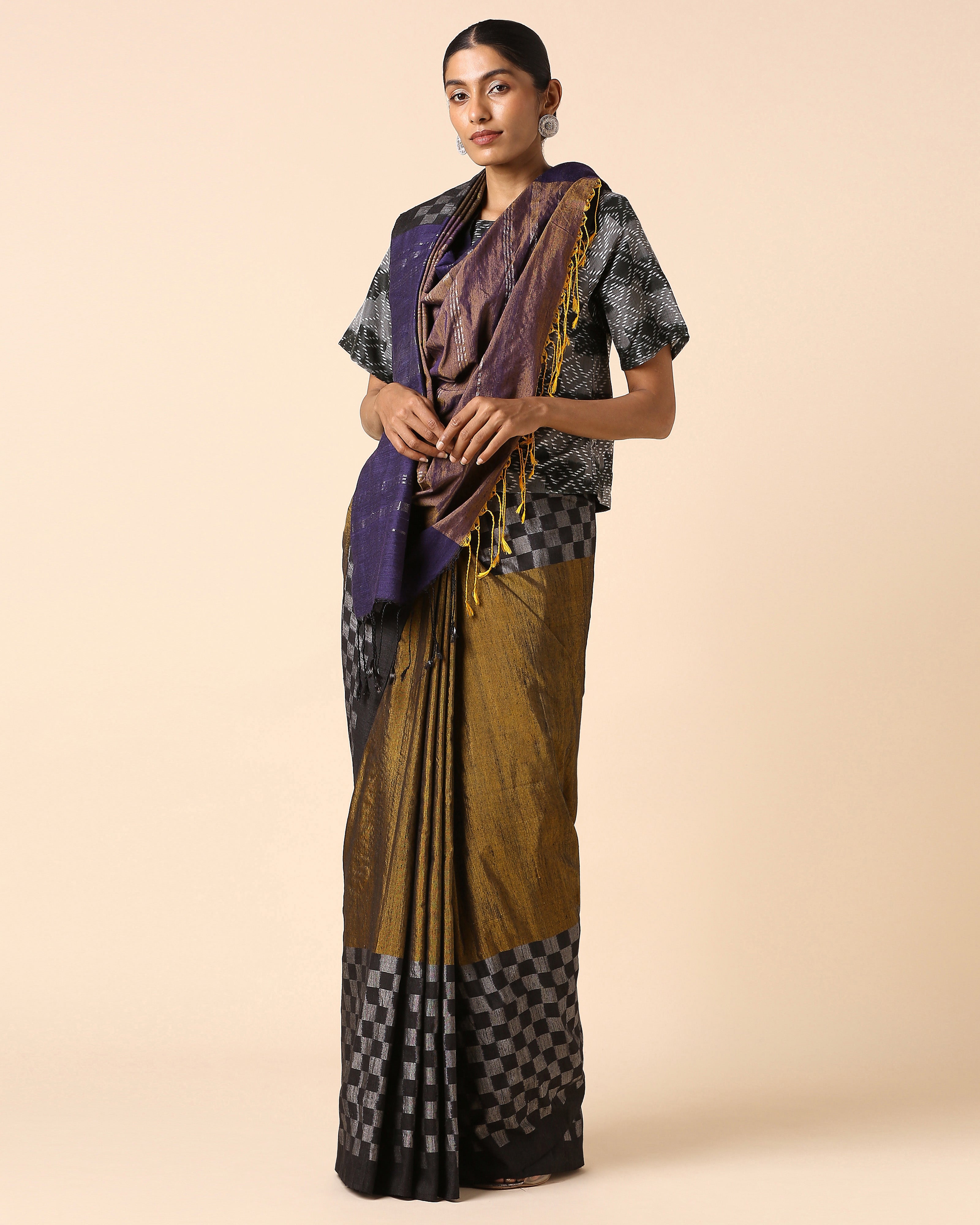 Raaga Pochampally Warp Ikat Silk Saree