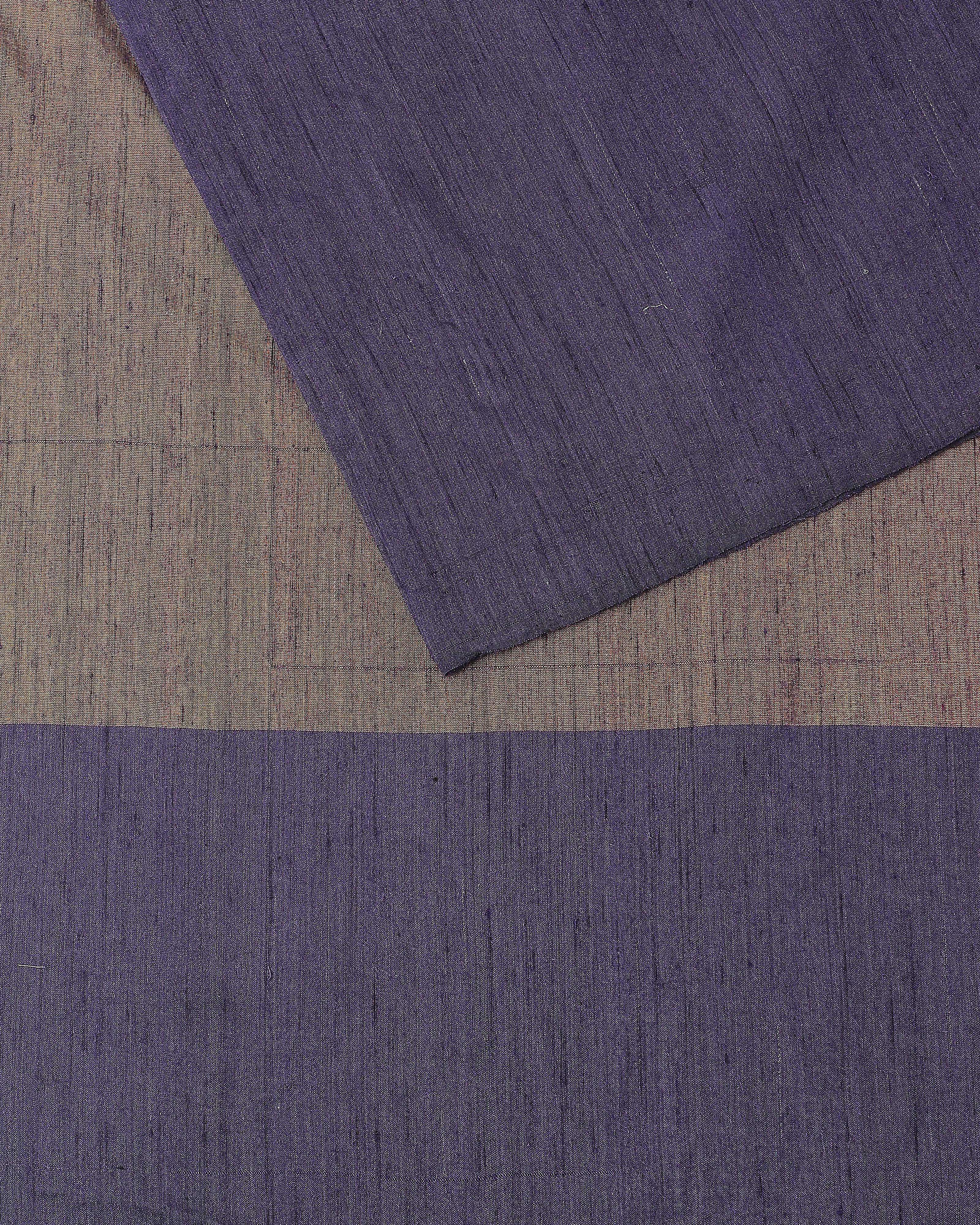 Raaga Pochampally Warp Ikat Silk Saree