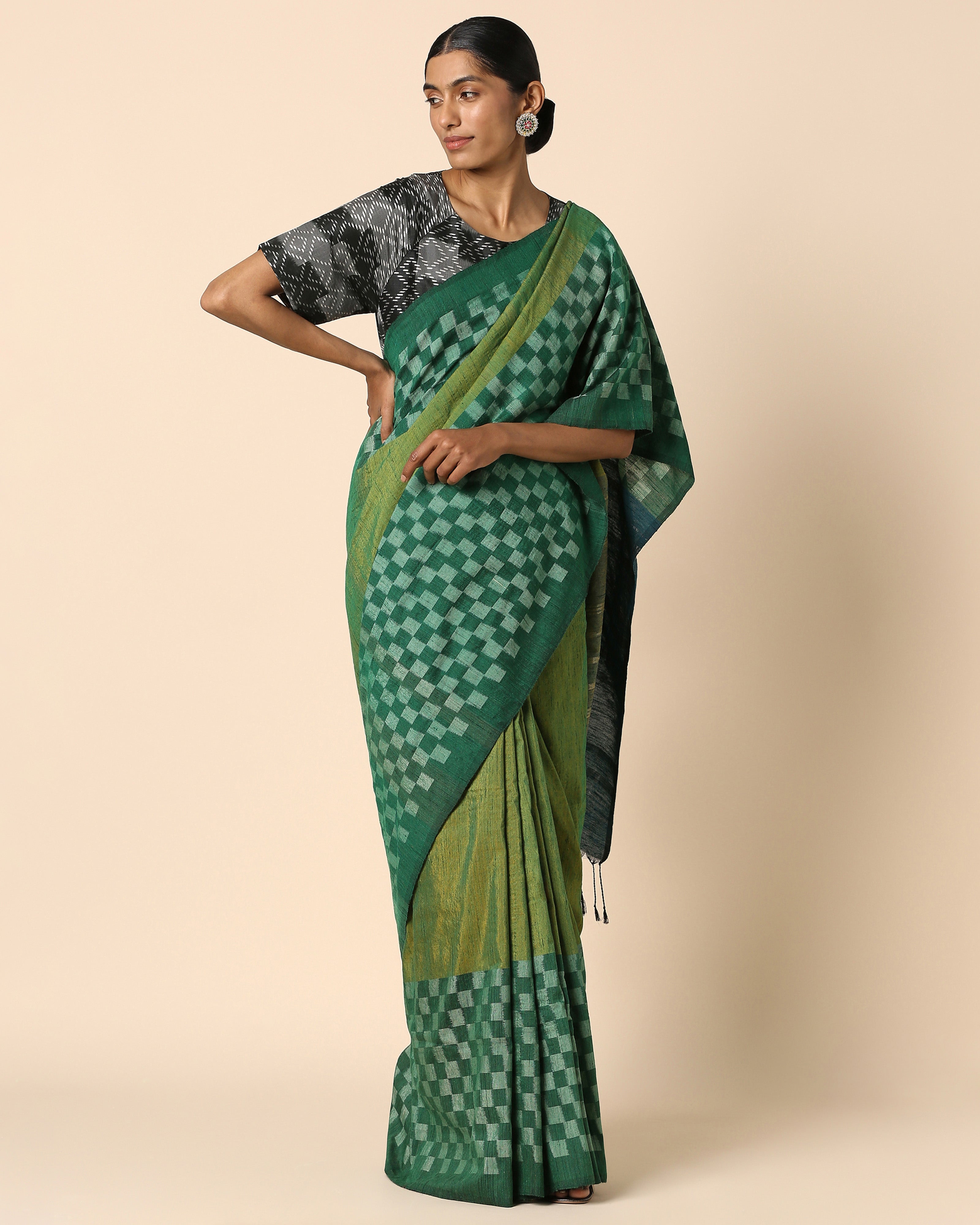 Raaga Pochampally Warp Ikat Silk Saree