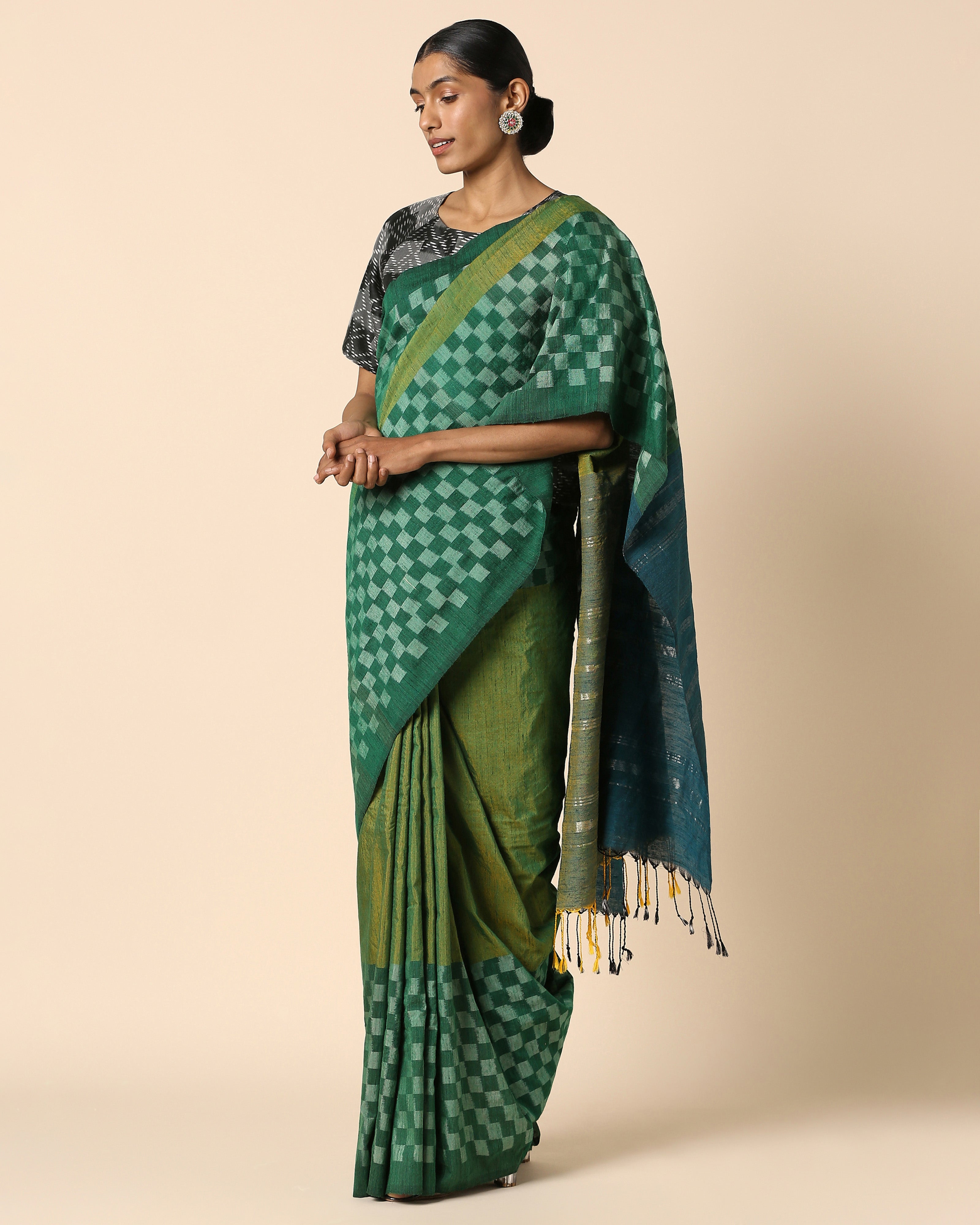 Raaga Pochampally Warp Ikat Silk Saree