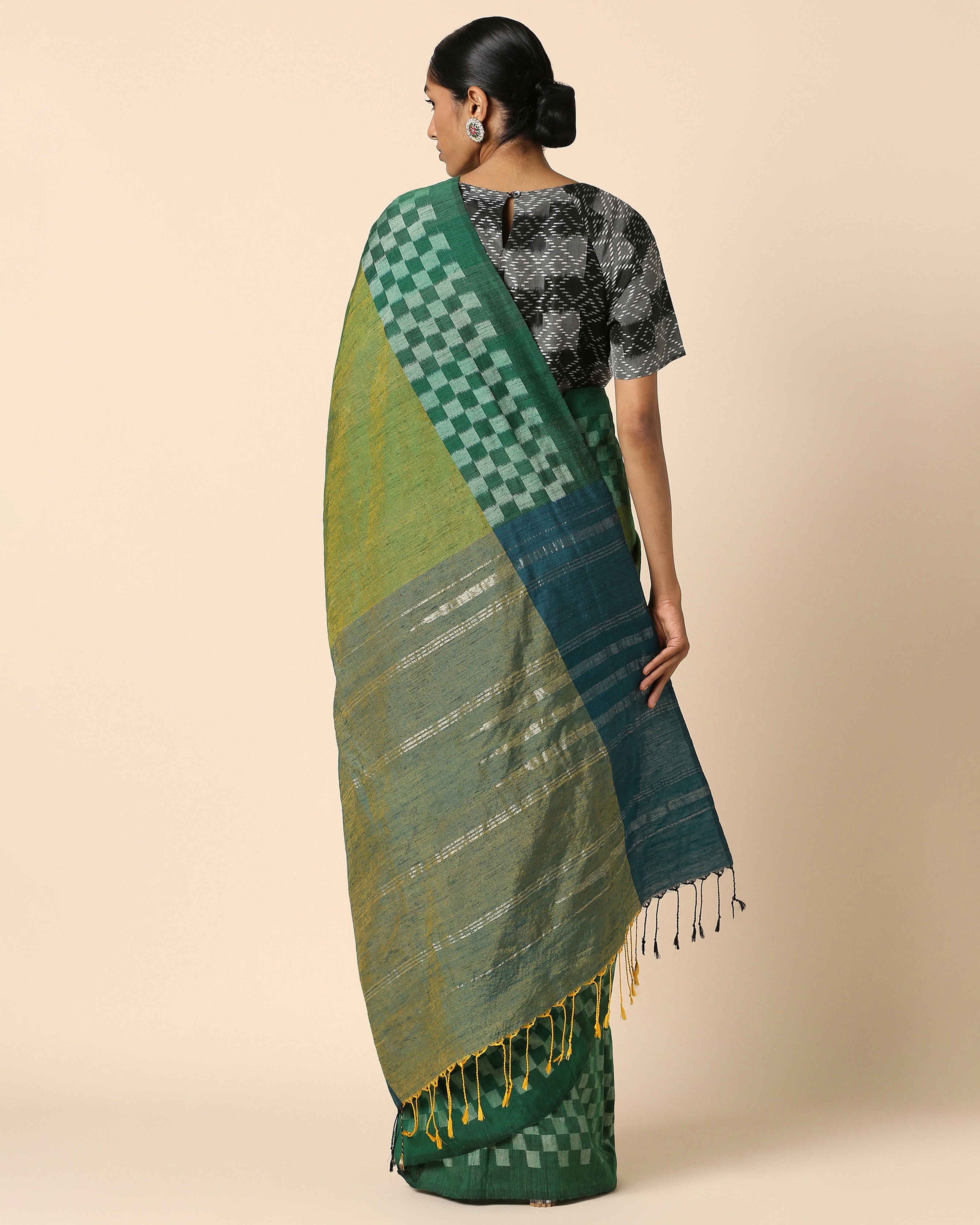 Raaga Pochampally Warp Ikat Silk Saree