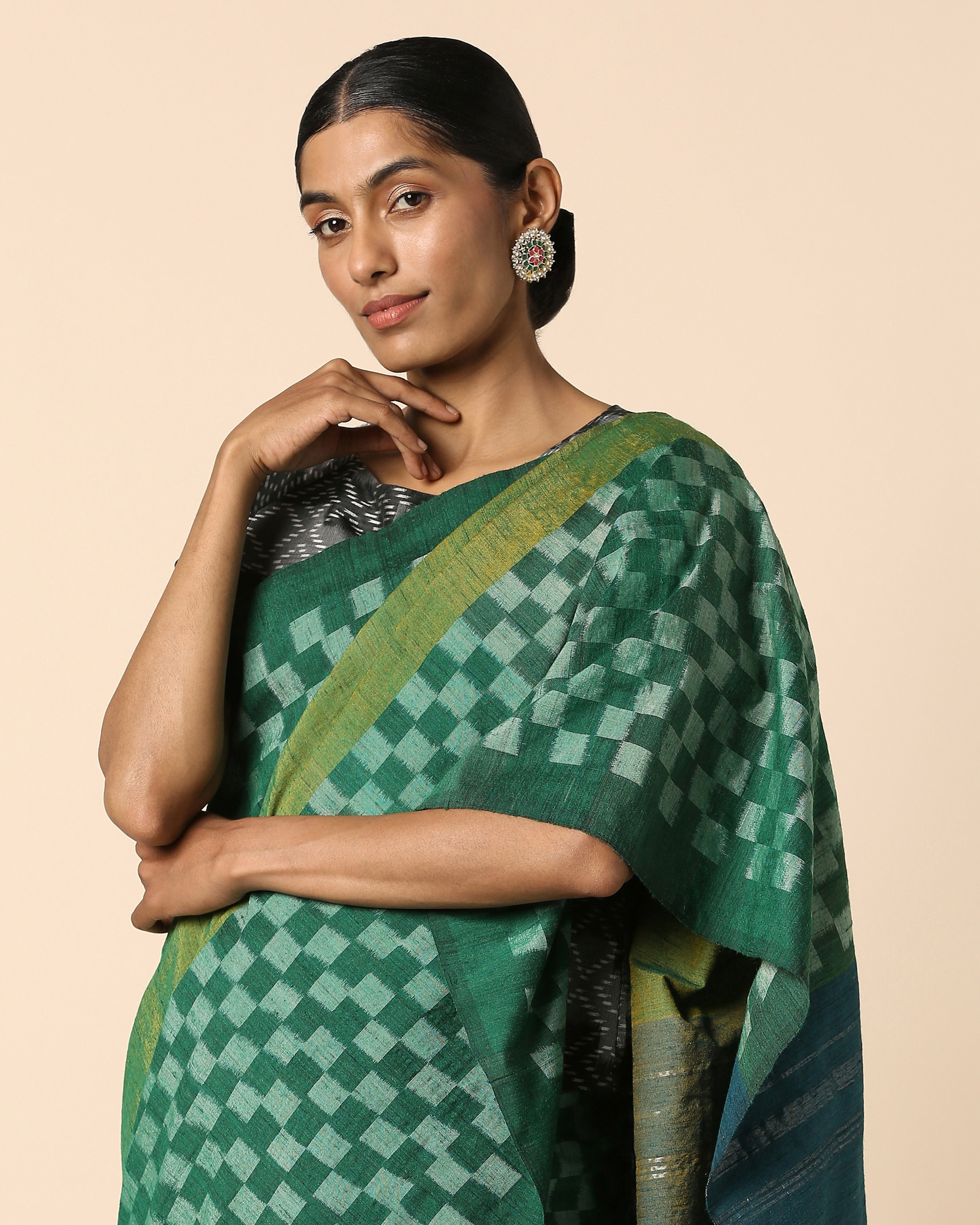 Raaga Pochampally Warp Ikat Silk Saree