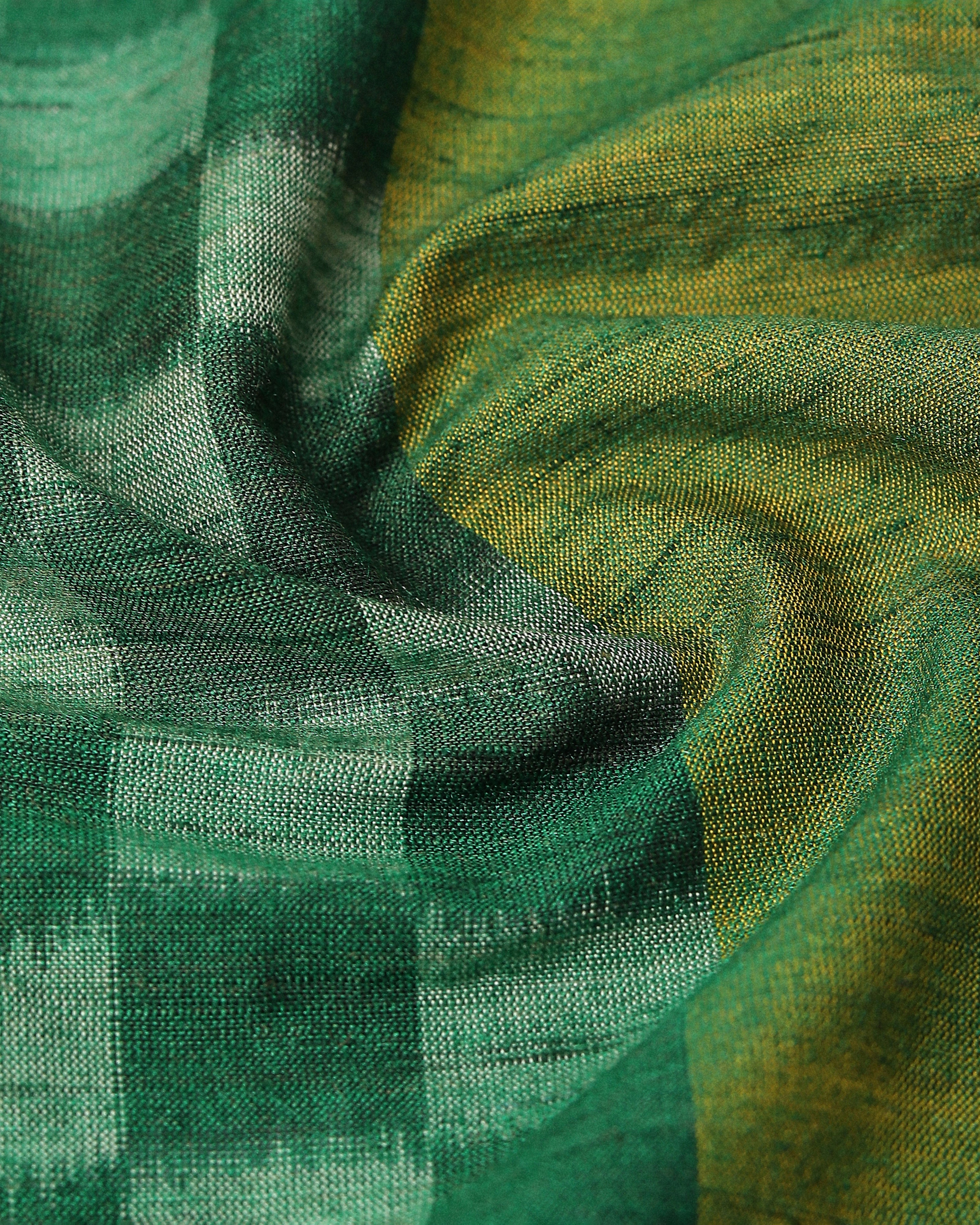 Raaga Pochampally Warp Ikat Silk Saree