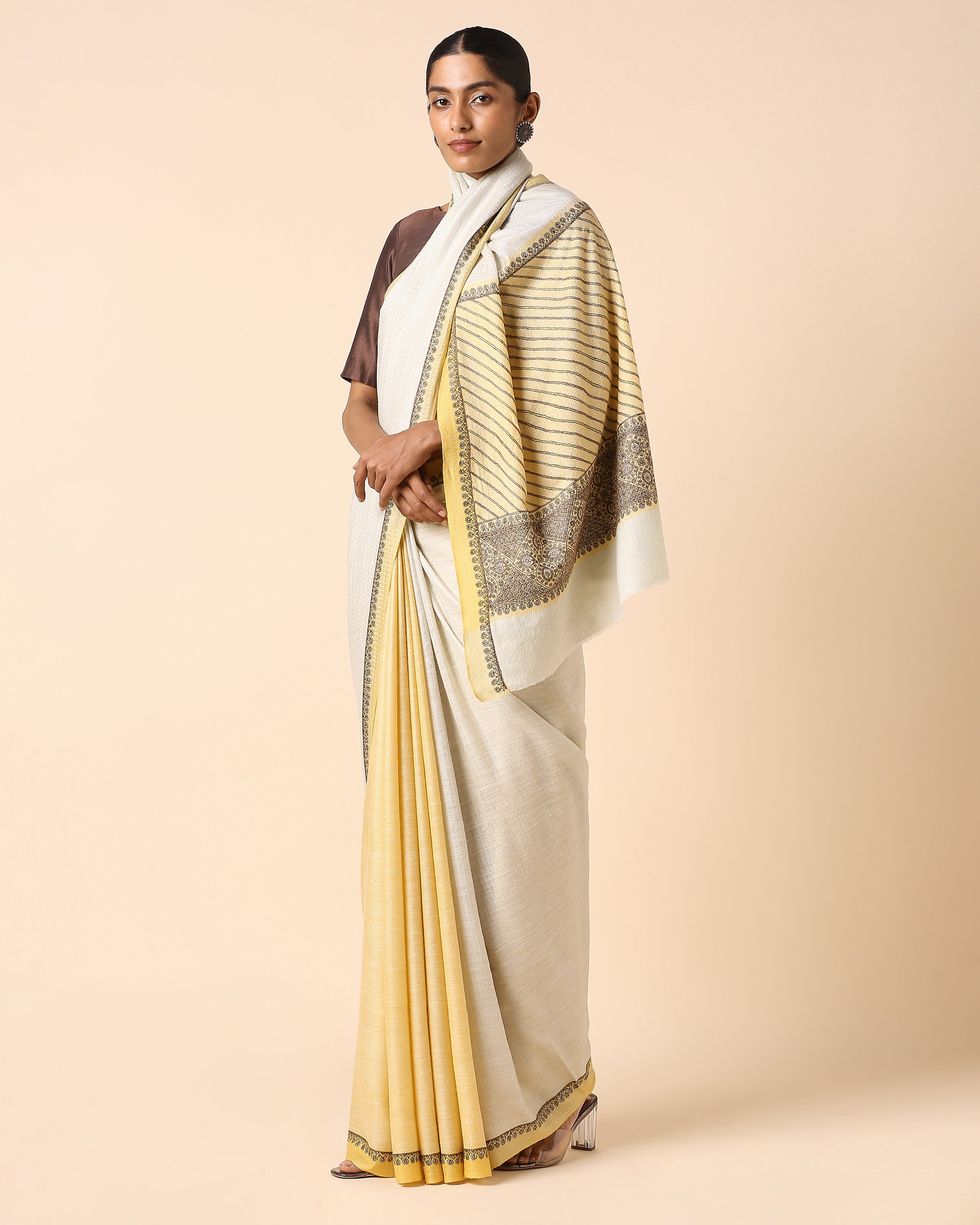 Aishini Kashmir Sozni Embroidery Pashmina Saree