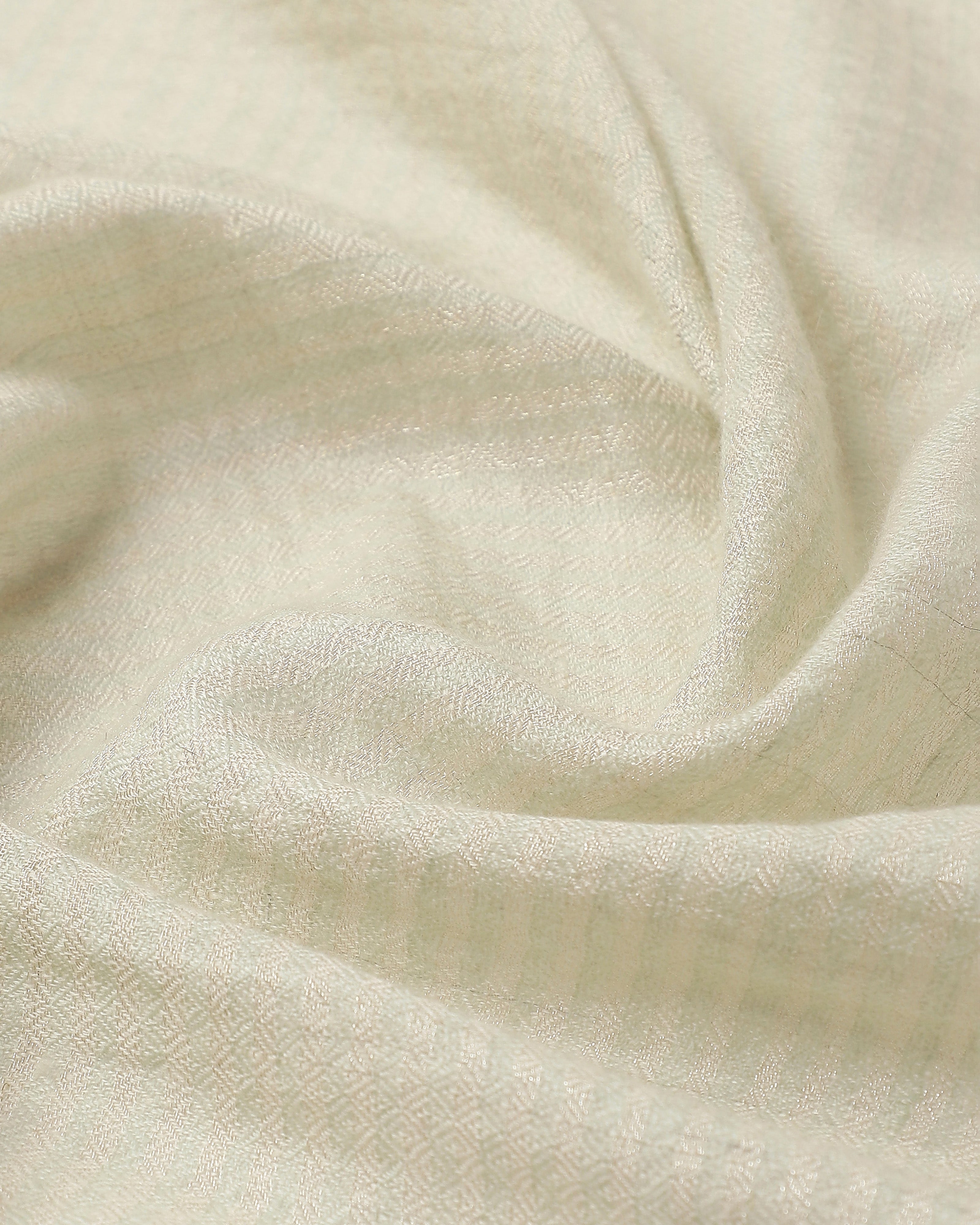 Tarika Kashmir Sozni Embroidery Pashmina Saree