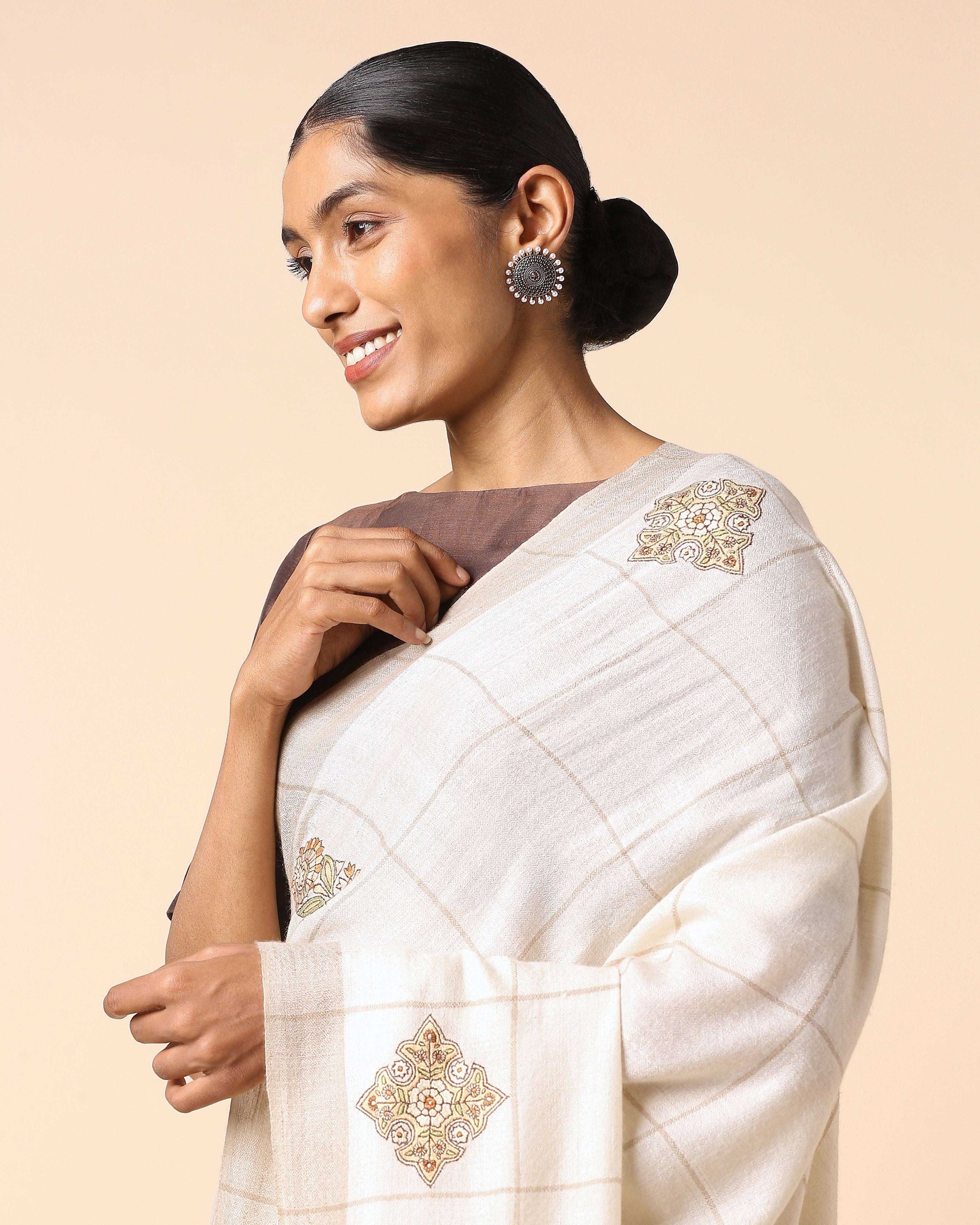 Tarika Kashmir Sozni Embroidery Pashmina Saree