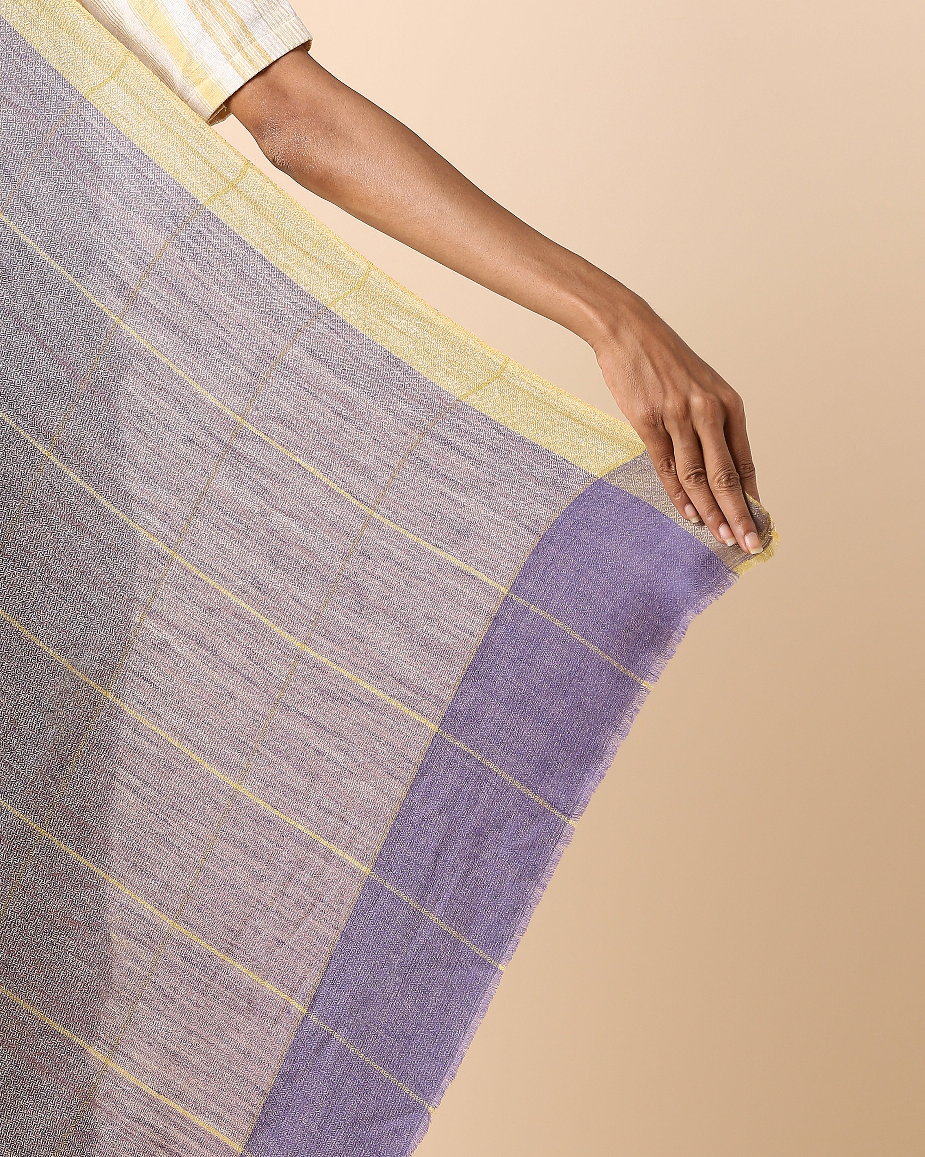 Tarika Kashmir Sozni Embroidery Pashmina Saree