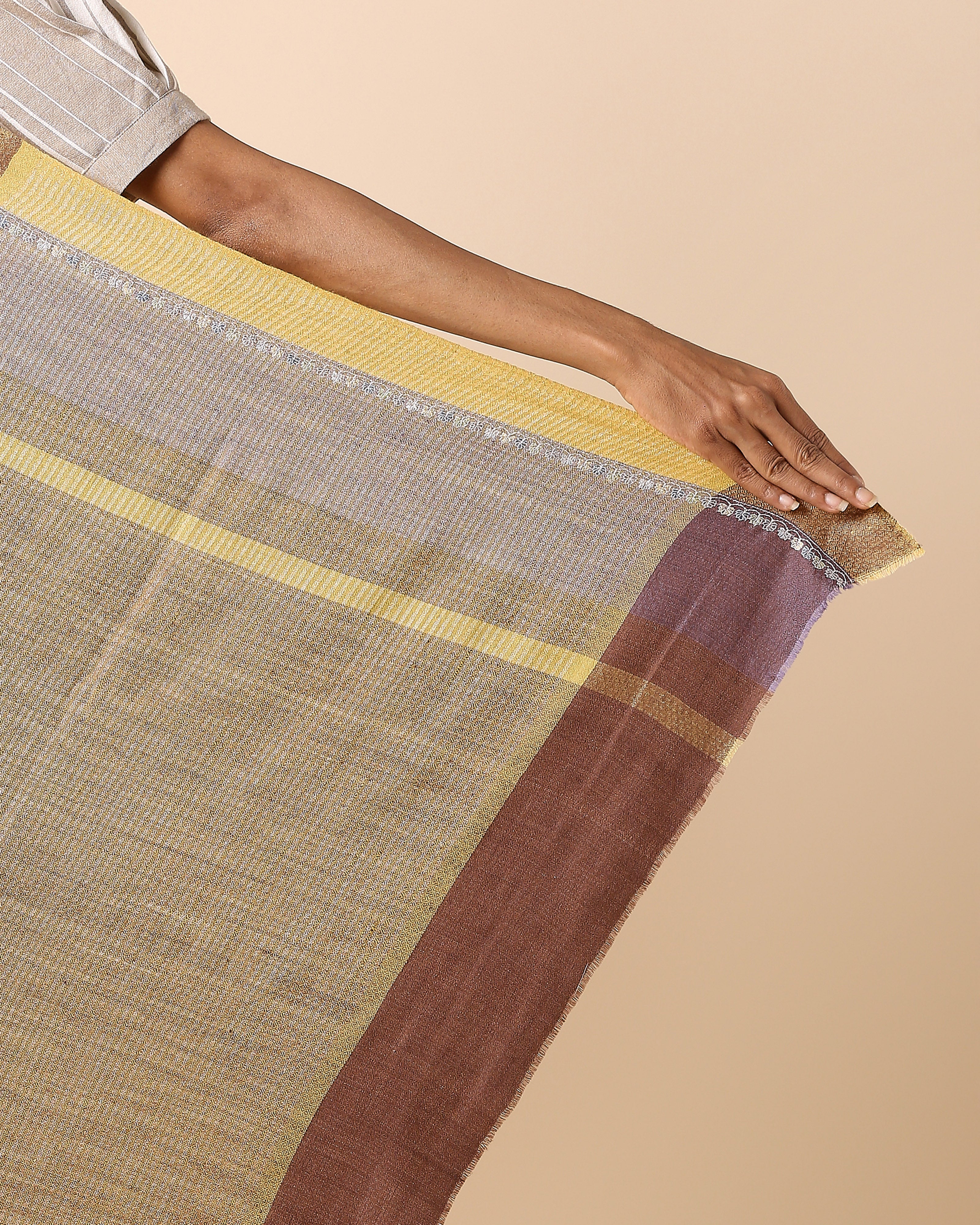 Ishya Kashmir Sozni Embroidery Pashmina Saree