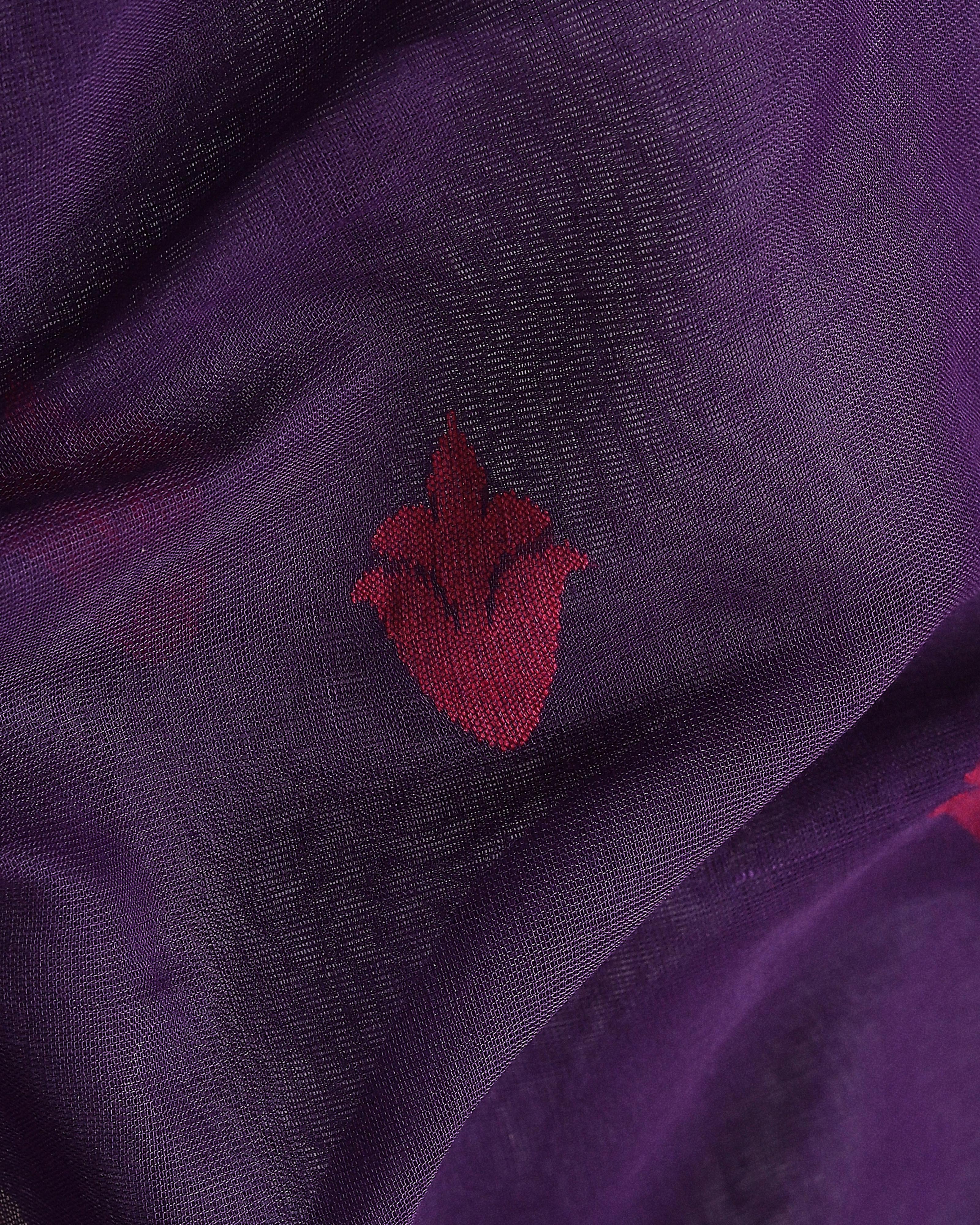 Ashwika Uppada Jamdani Cotton Saree