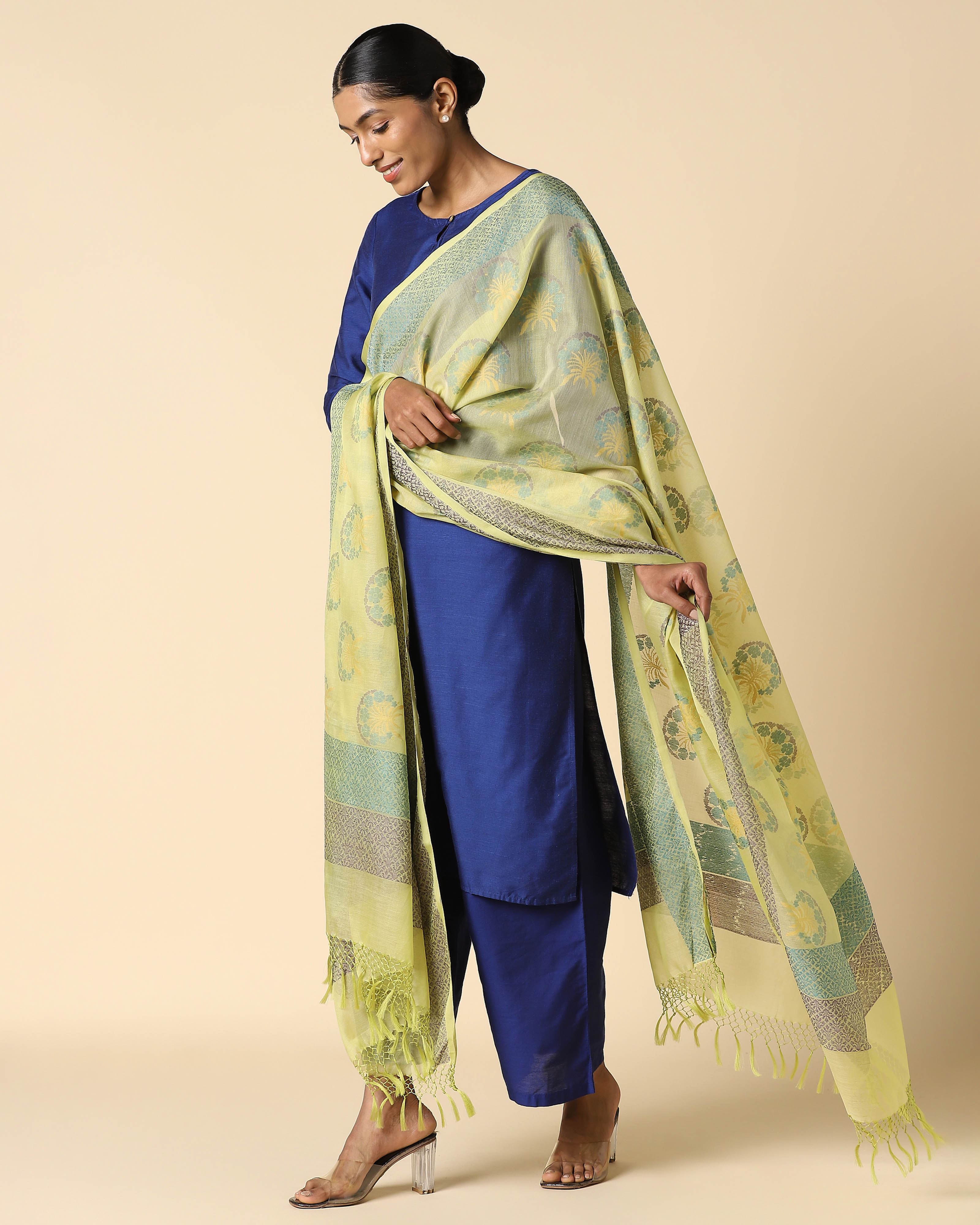 Anwitha Banarasi Jamdani Silk Cotton Dupatta