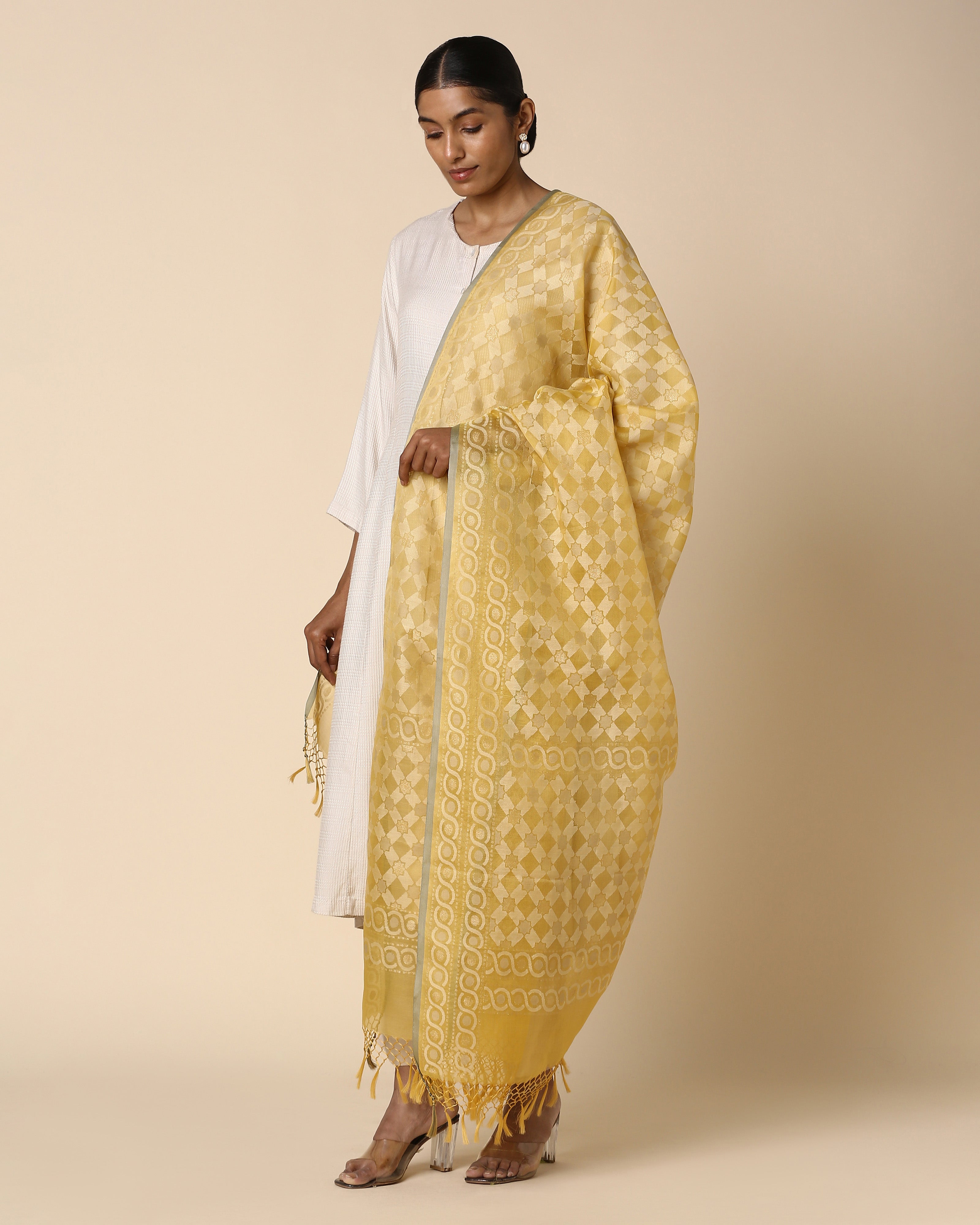 Kaliyah Banarasi Jamdani Silk Cotton Dupatta