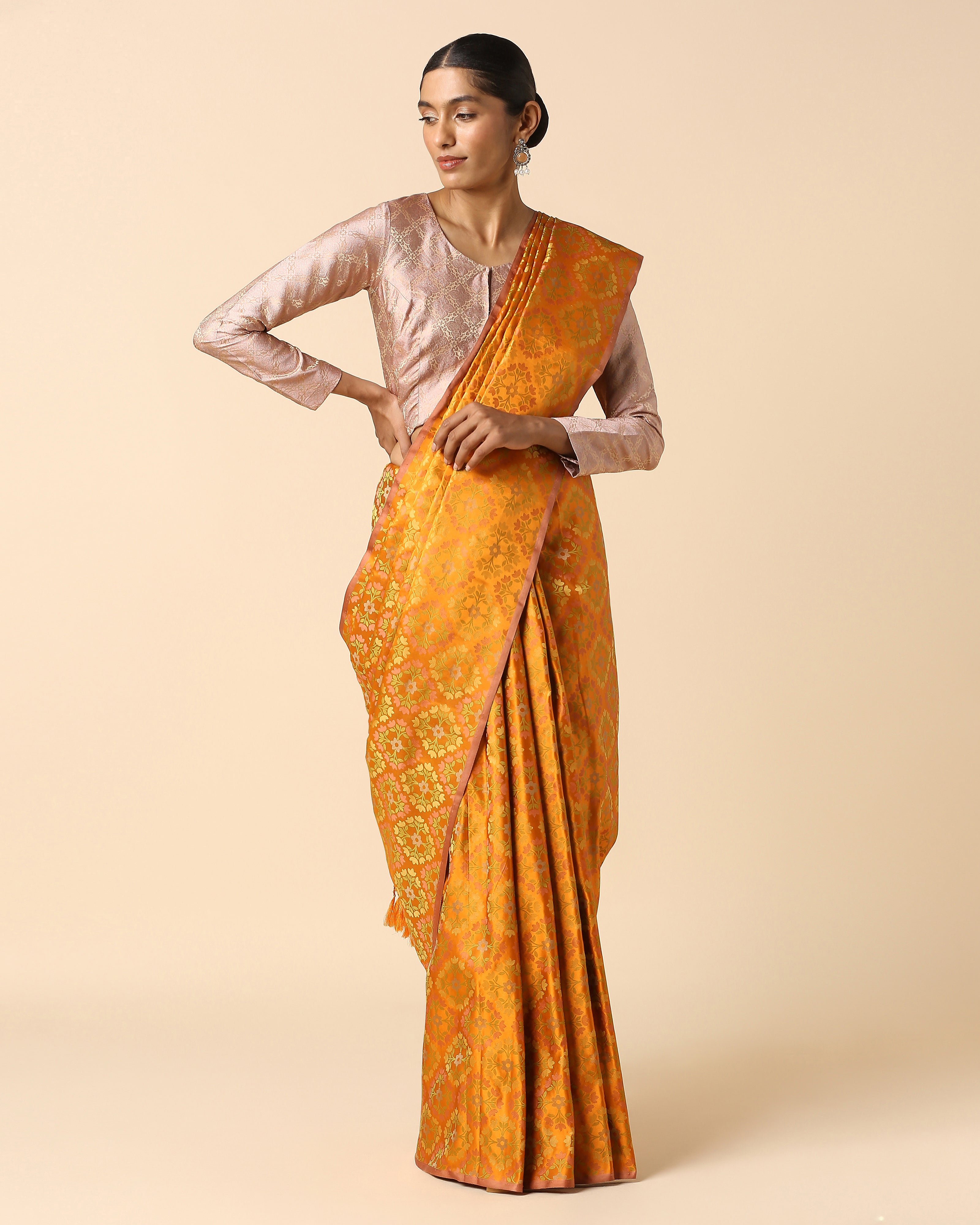 Avnish Banarasi Tanchoi Silk Saree