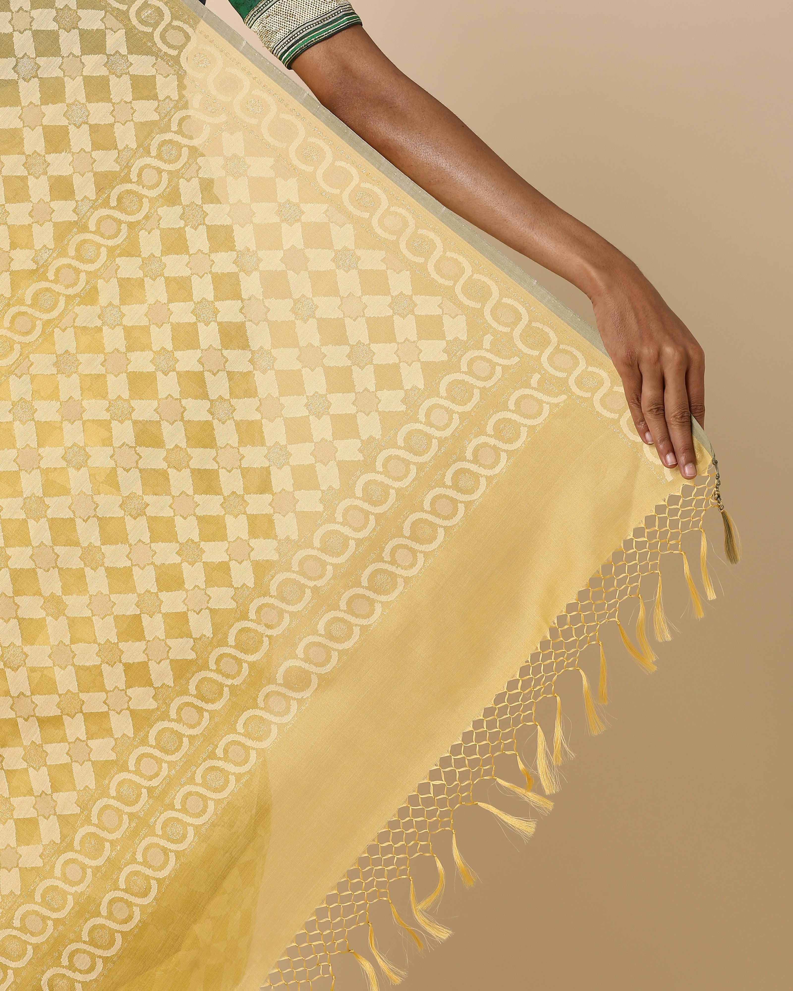 Kaliyah Banarasi Jamdani Silk Cotton Saree