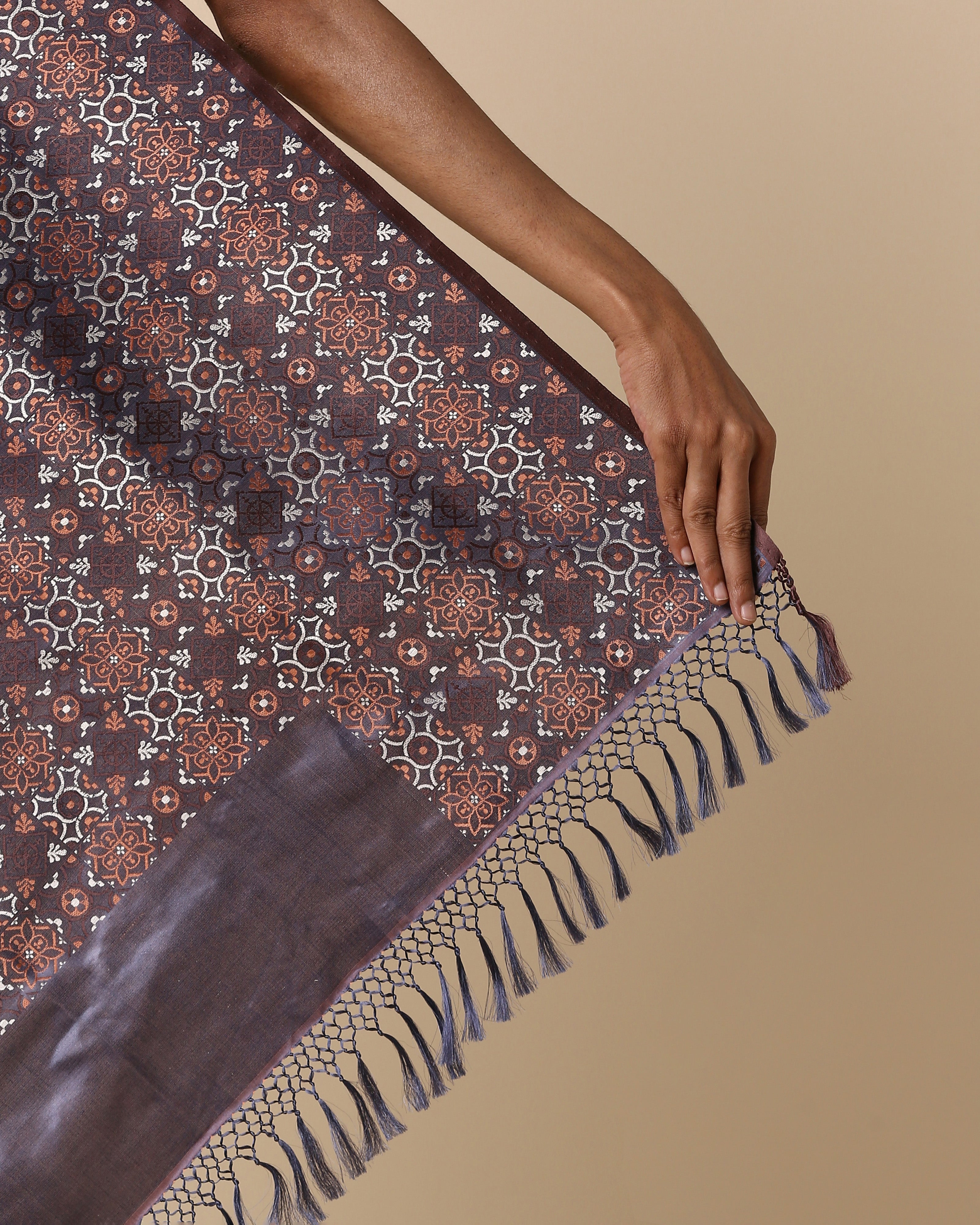 Shoolin Banarasi Tanchoi Silk Saree