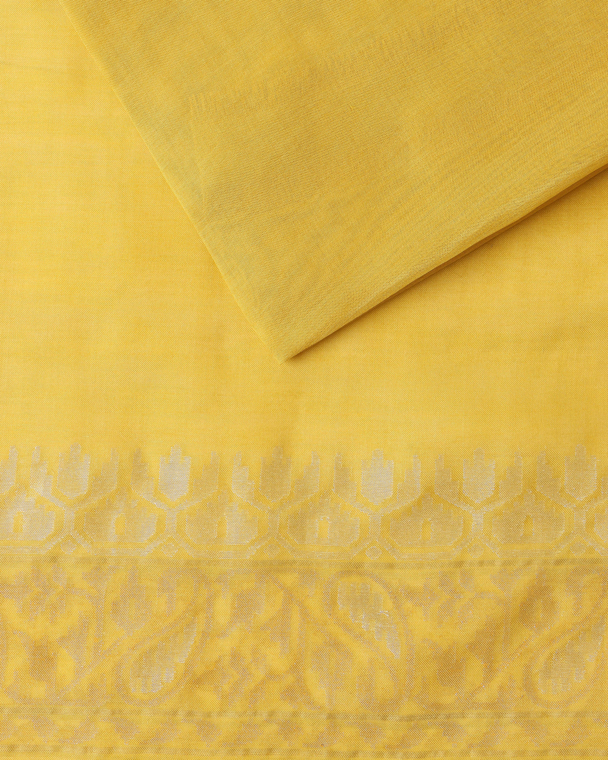 Yashima Banarasi Jamdani Silk Cotton Saree